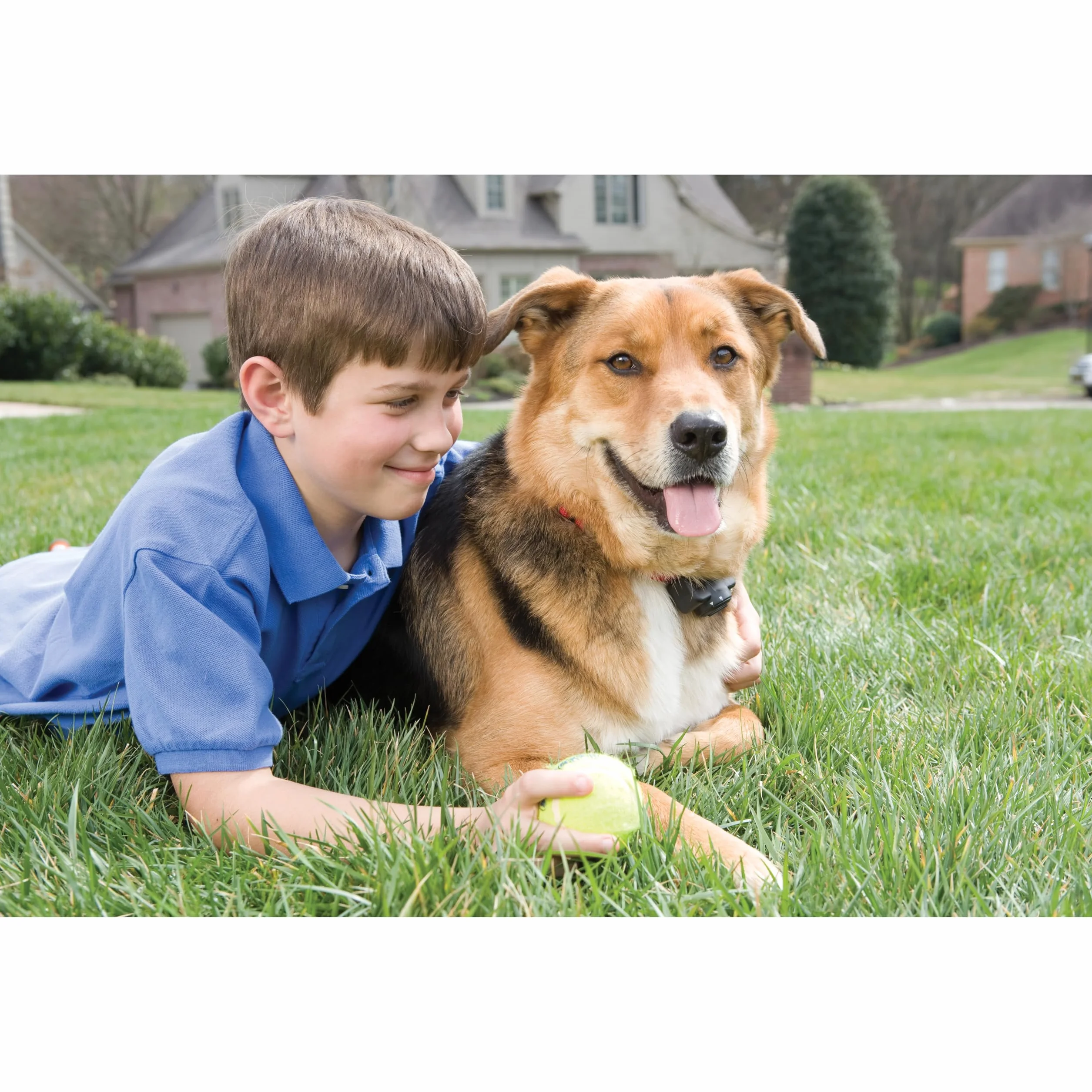 Petsafe Collier Anti-Fugue Deluxe pour Chien avec Fil, Léger, 4 Niveaux Stimulation, Mode Signal Sonore, Résistant à la Pluie