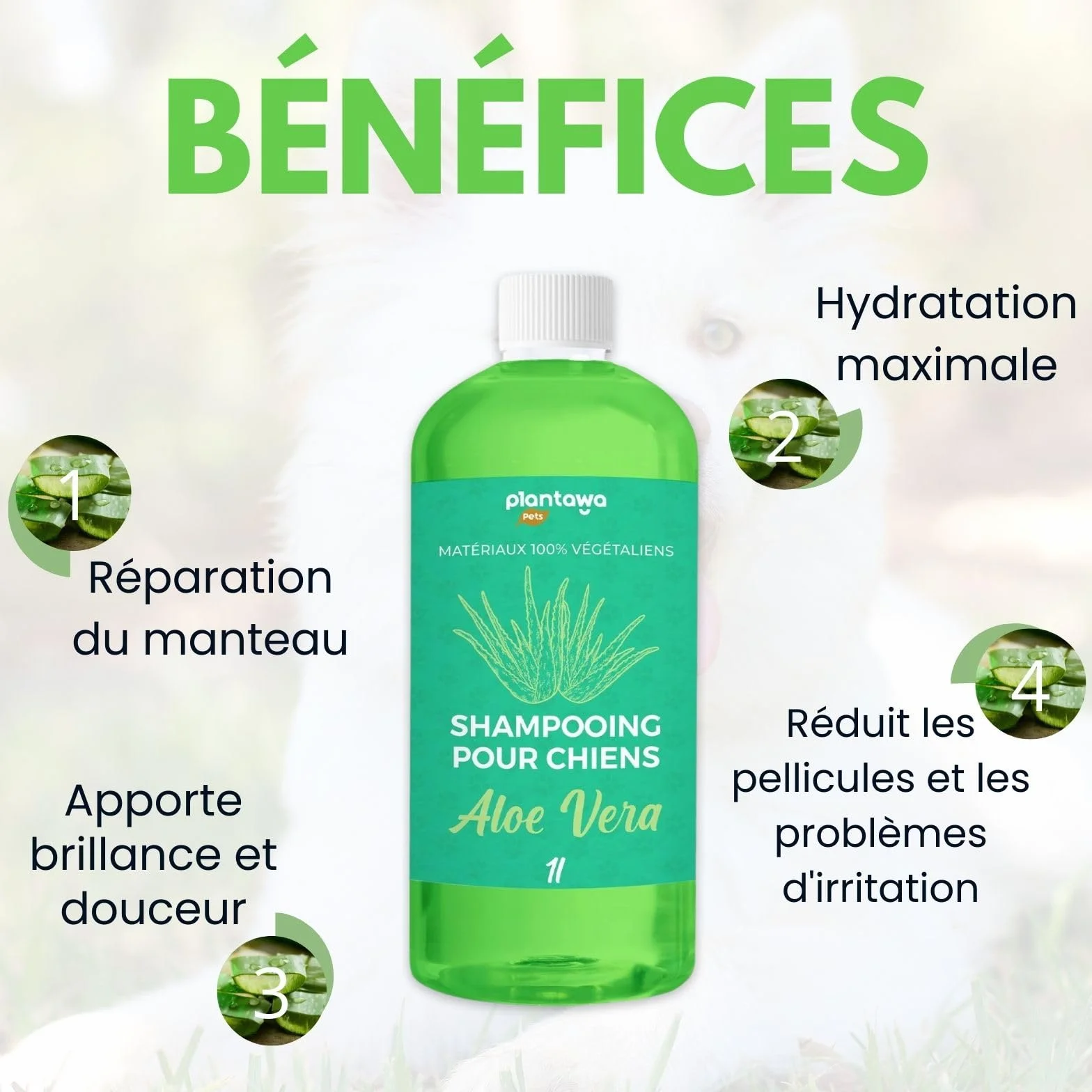Plantawa Shampooing pour Chien à l'Aloe Vera 1L Peau Sensible Anti-Irritation Vegan