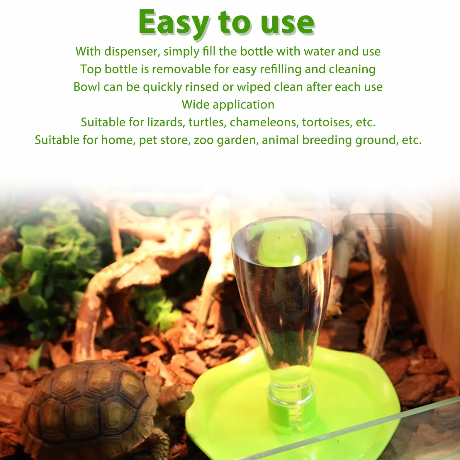 Distributeur d'eau de Reptile pour Tortue Lézard, Mangeoires Automatiques, Bol d'eau Grand