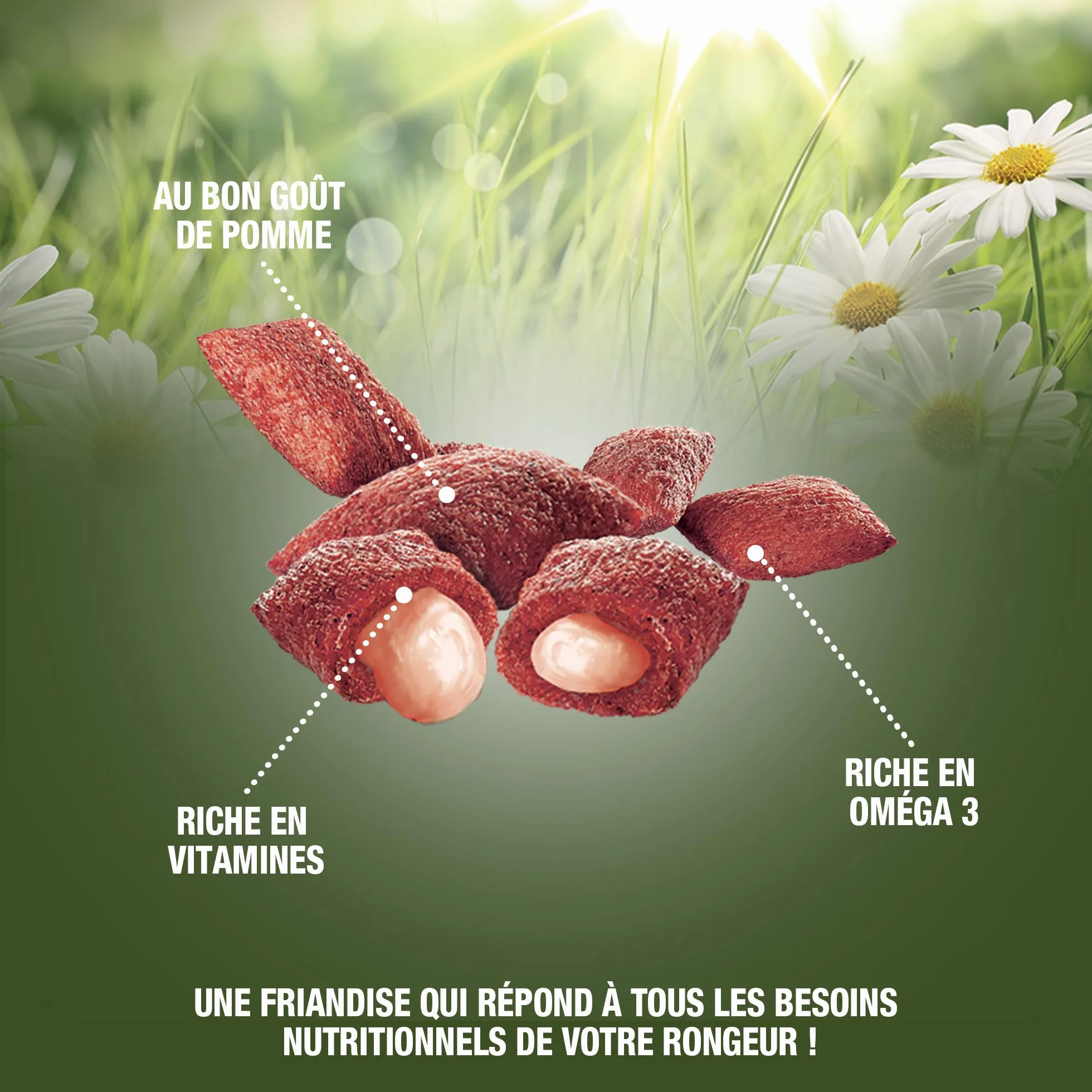 Crookies A La Pomme Aliment Complémentaire pour Rongeurs Biscuit Croquant 50G