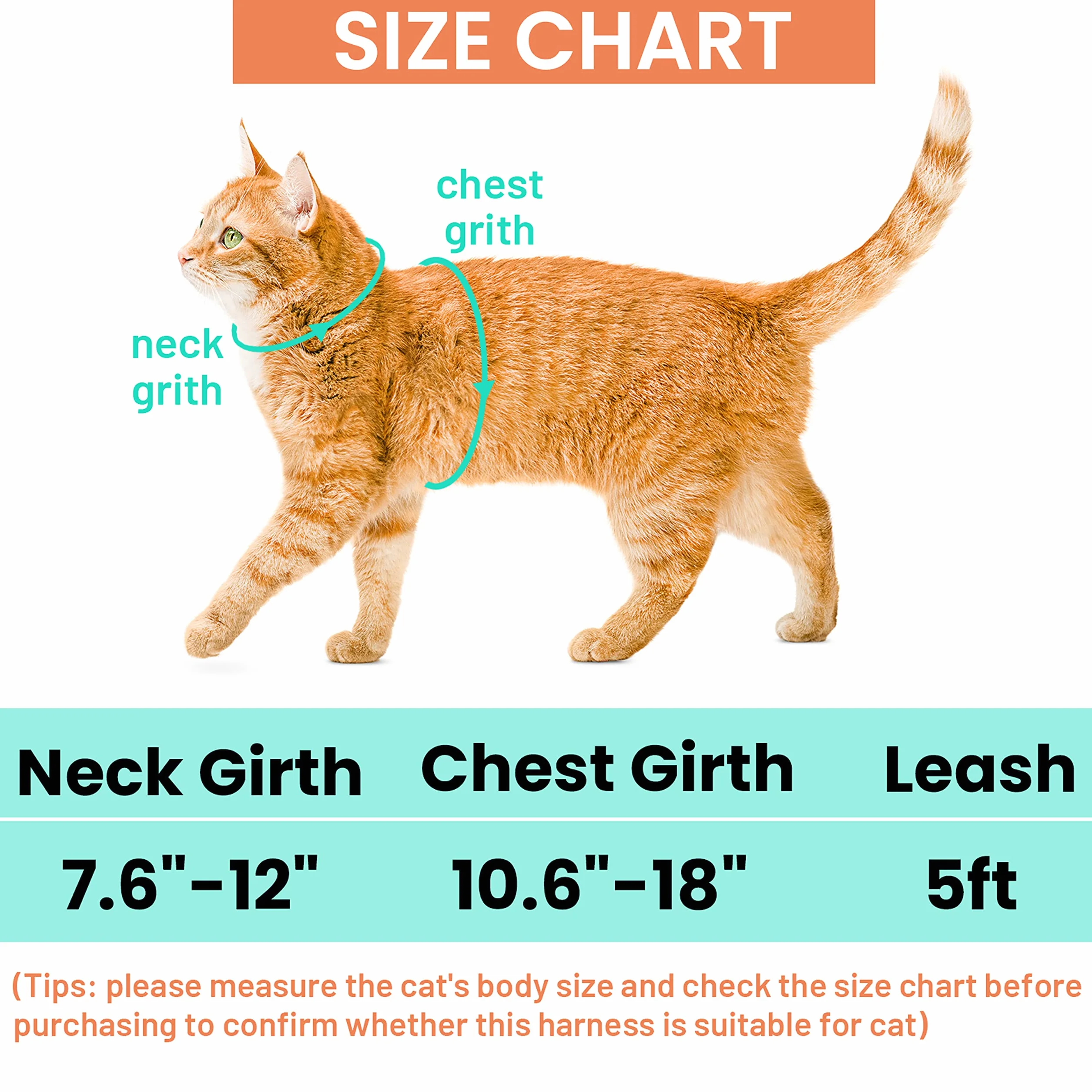 Harnais et Laisse Anti-Fugue pour Chat avec Support Airtag, Motif Strawberry, Nylon réglable
