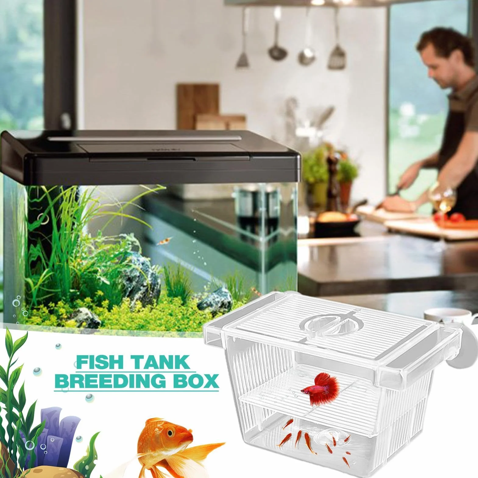 Boîte D'éclosion de Poissons Transparente avec 2 Ventouses, Boîte d'Isolation pour Poissons