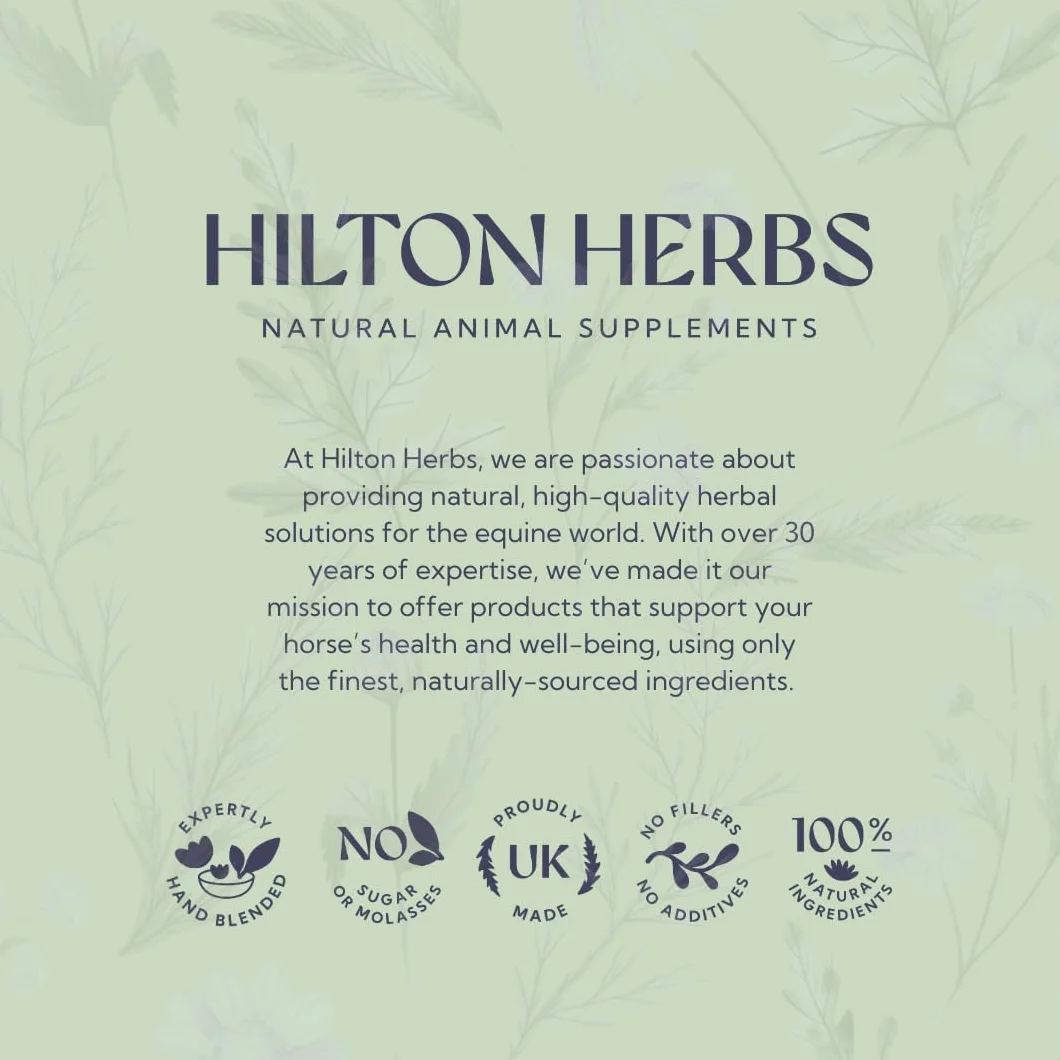 Hilton Herbs Equimmune Gold 1 L Complément Alimentaire Cheval