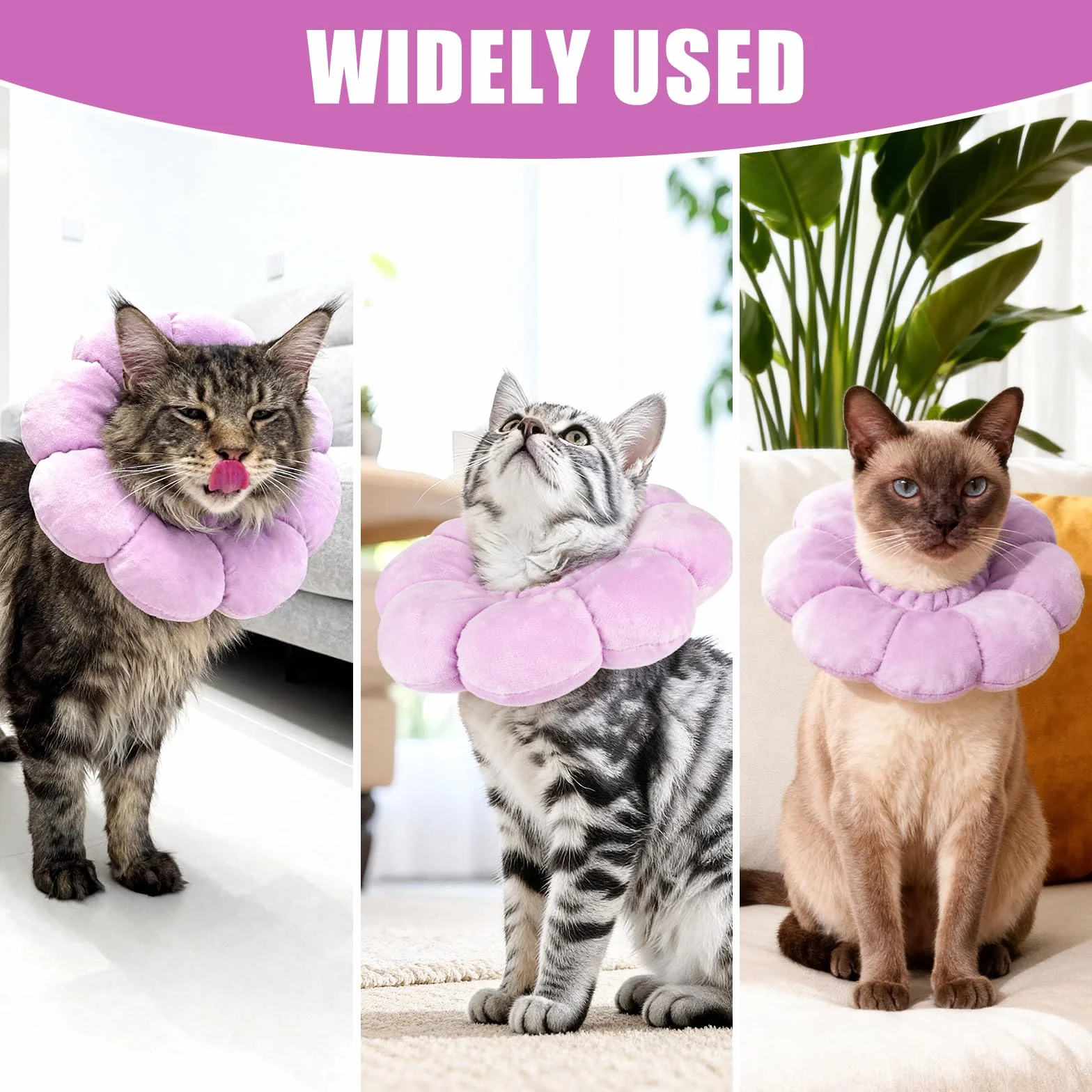 Colerette Chat Anti Léchage Ajustable Doux Tournesol