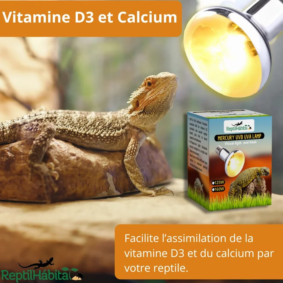 Lampe UVB UVA avec Chaleur pour Reptiles 80W – Lampe à Vapeur de Mercure Tout-en-Un pour Terrariums