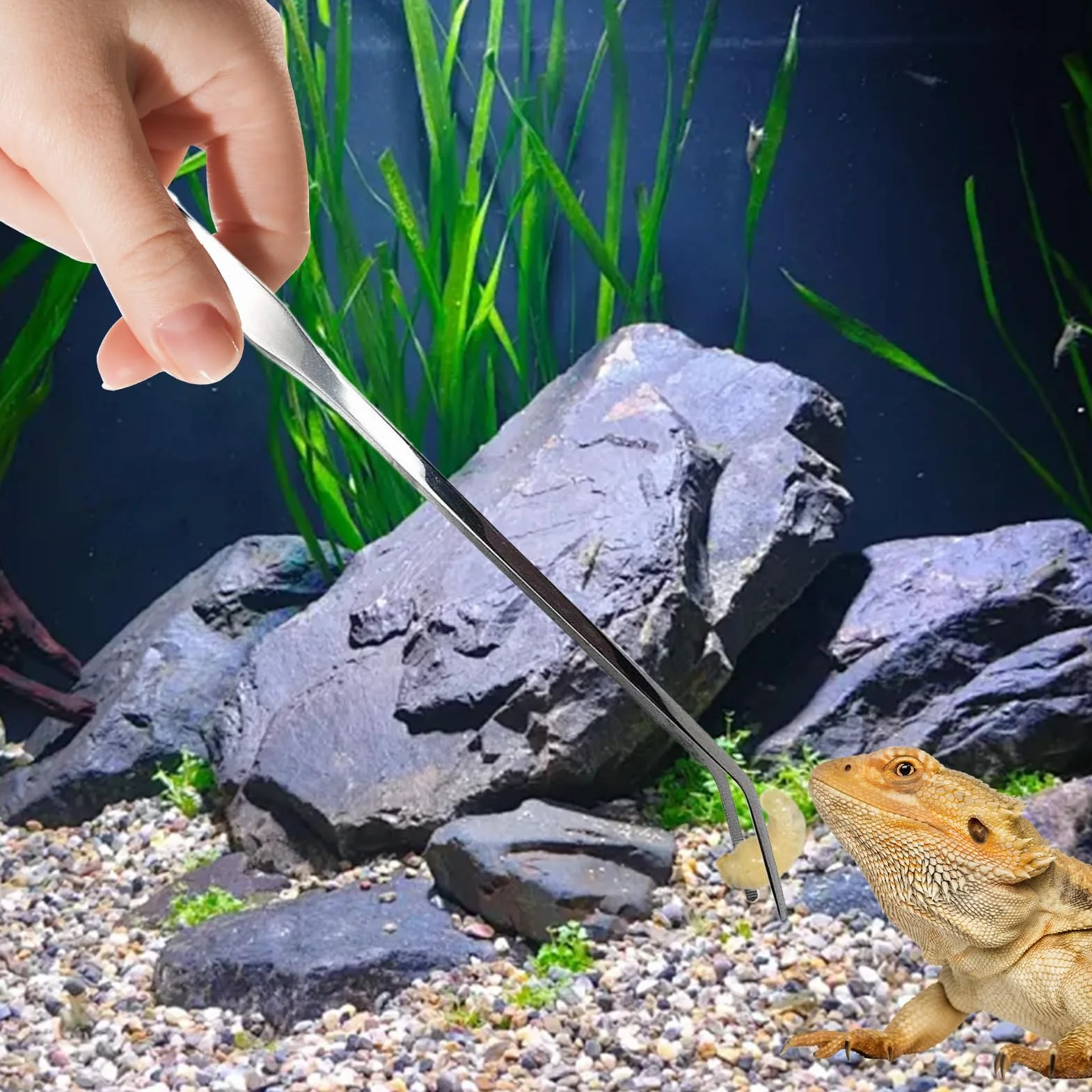 Pinces Longues pour Aquarium Reptiles Nourrissage, Ergonomiques pour Gecko Dragon Barbu Lézard Tortue