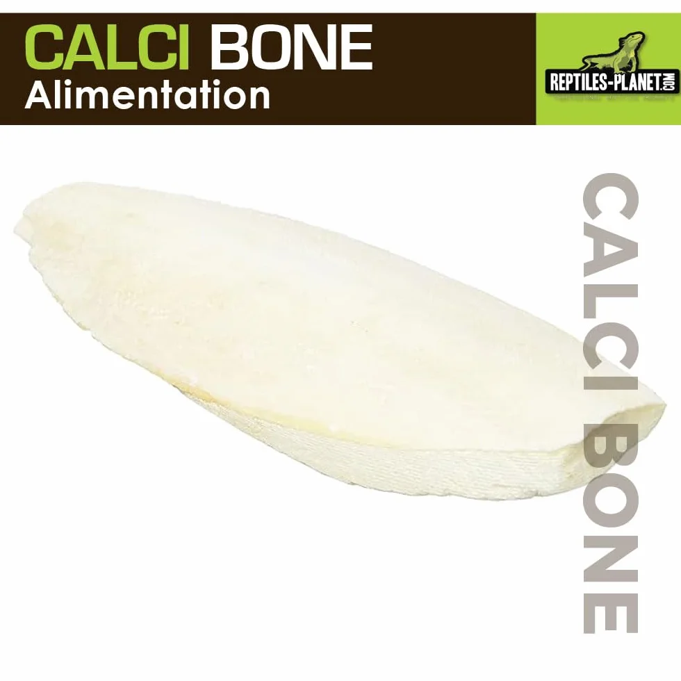 Reptiles Planet Calci Bone Os de Seiche Entier pour Reptiles