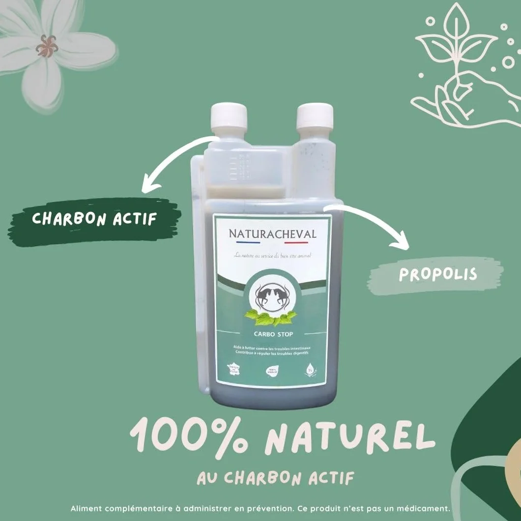 Charbon Actif Naturel pour Cheval – Complément Digestion – Absorbe Gaz & Toxines – Ballonnements & Transit