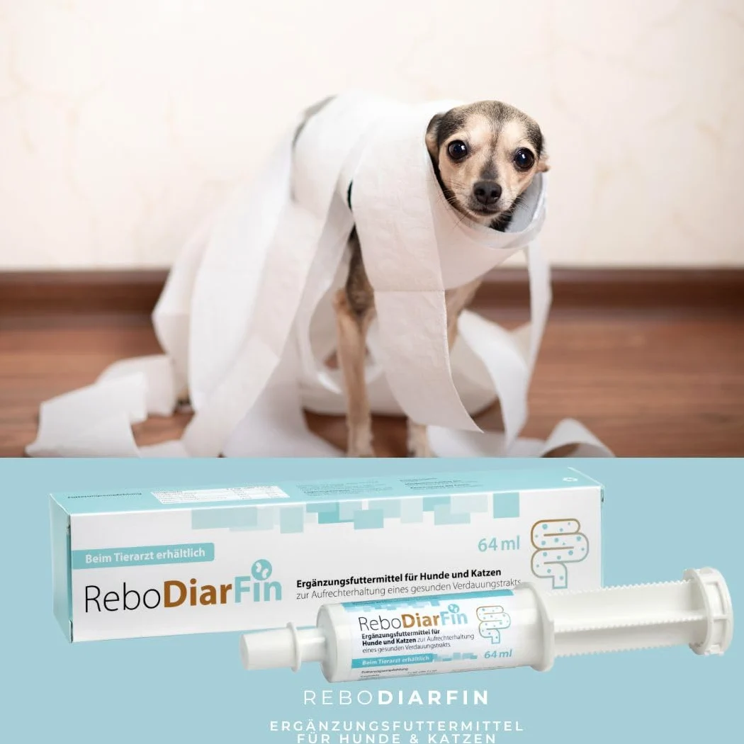 ReboDiarFin Pâte digestive pour chiens et chats 64 ml : aide en cas de troubles digestifs, avec pectine et kaolin, enrichie en peptides de glutamine, mélange de probiotiques et de prébiotiques