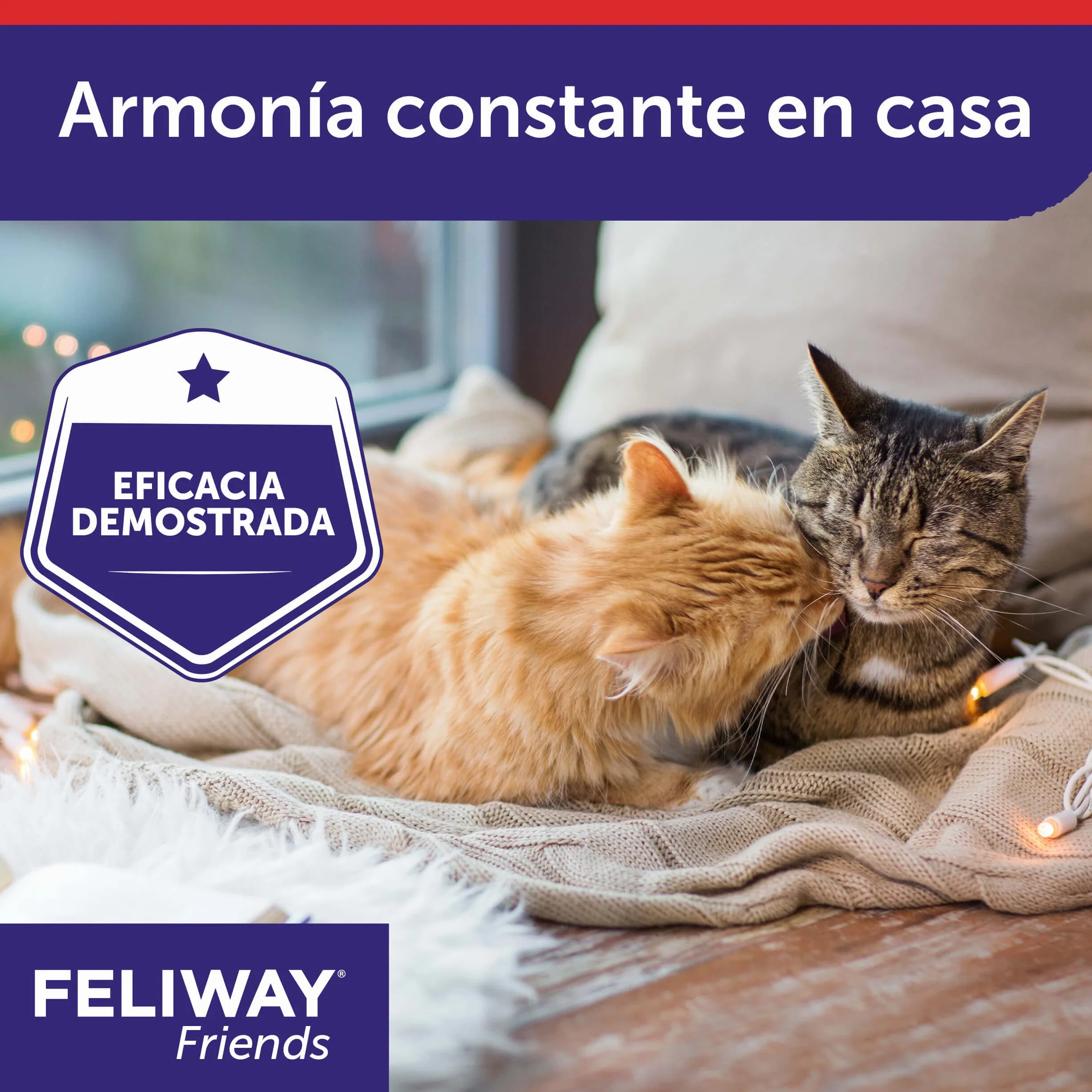 FELIWAY Friends Pack 3 Recharges Réduit Conflits Tensions Bagarres Chats Scientifiquement Prouvé 3x30 Jours
