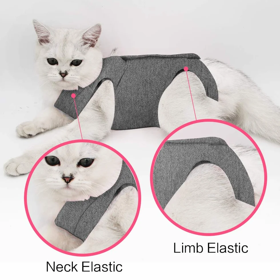 Dotoner Cat Professionnel Collerette Restauration pour Plaies et Maladies de la Peau, Alternative pour Chiens et Chats après Chirurgie