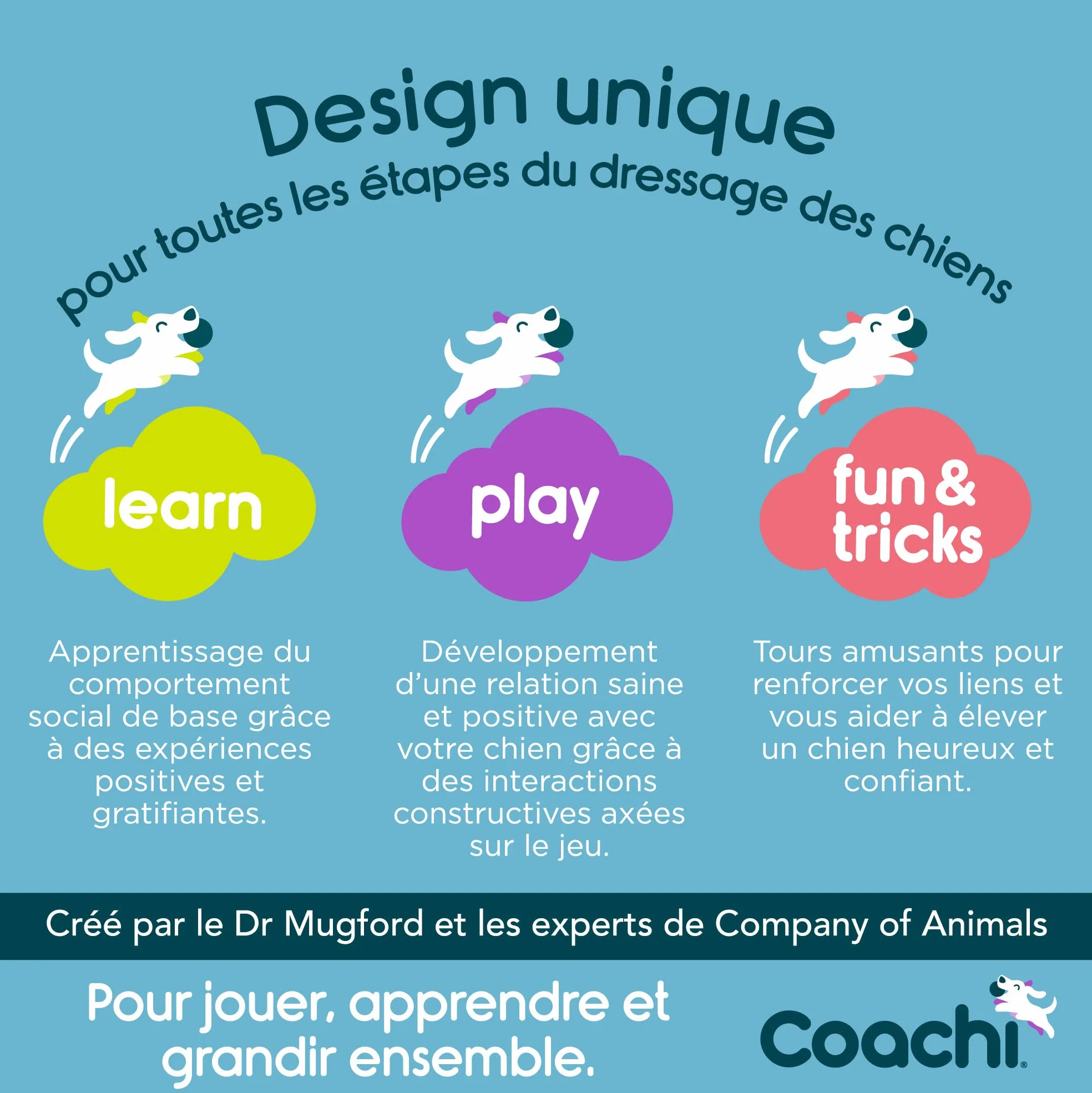 Tuggi Tug Coachi pour chien, solide et doux, dressage amusant, idéal pour rappel, arrêt morsures, pour tous chiens
