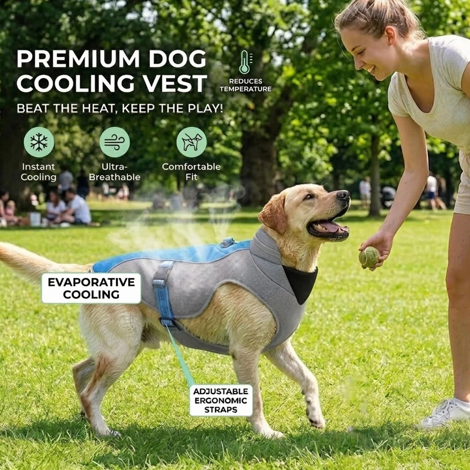 Gilet Rafraîchissant pour Chien avec Harnais D-Snap Bleu