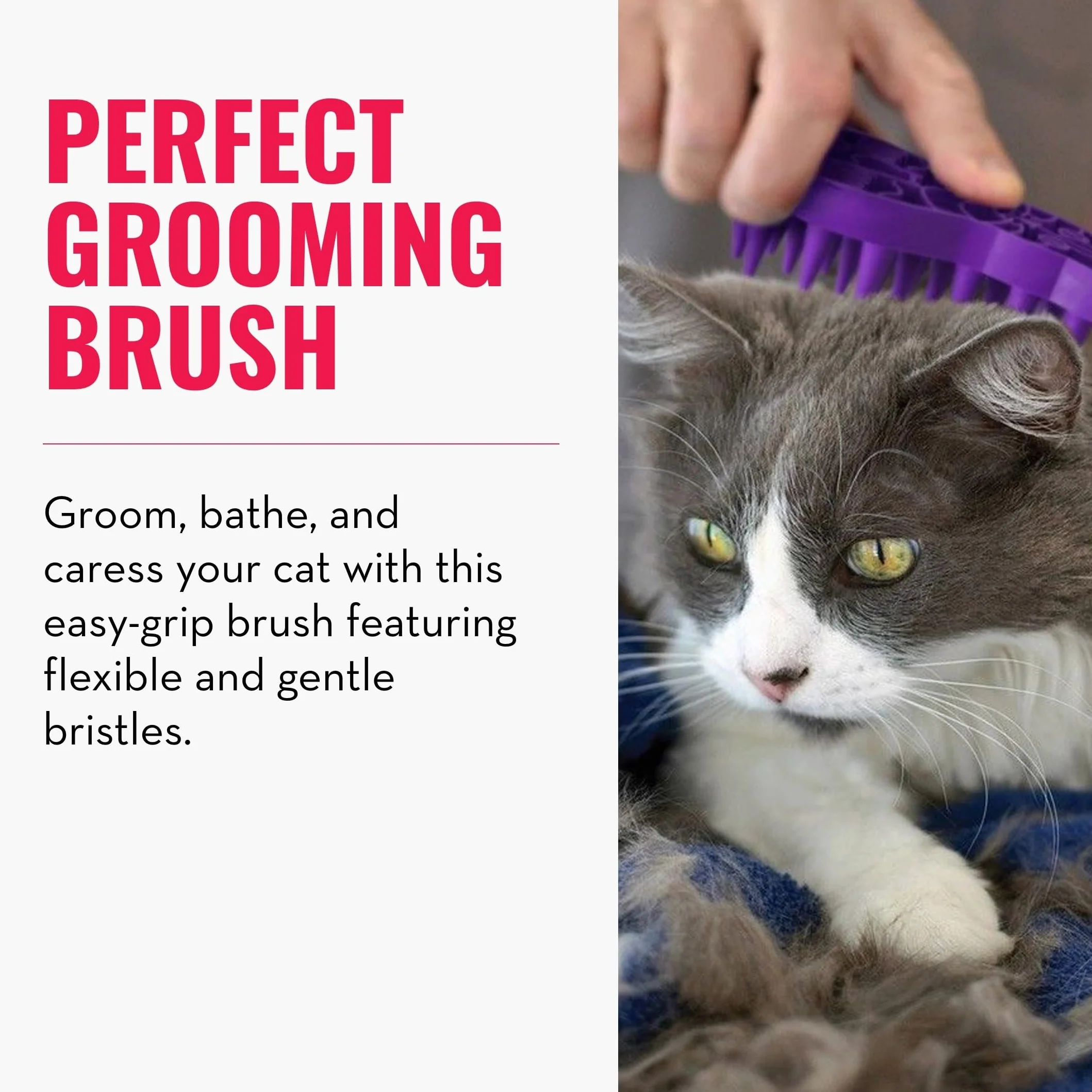 KONG Brosse de toilettage massante en caoutchouc souple pour chat ZoomGroom