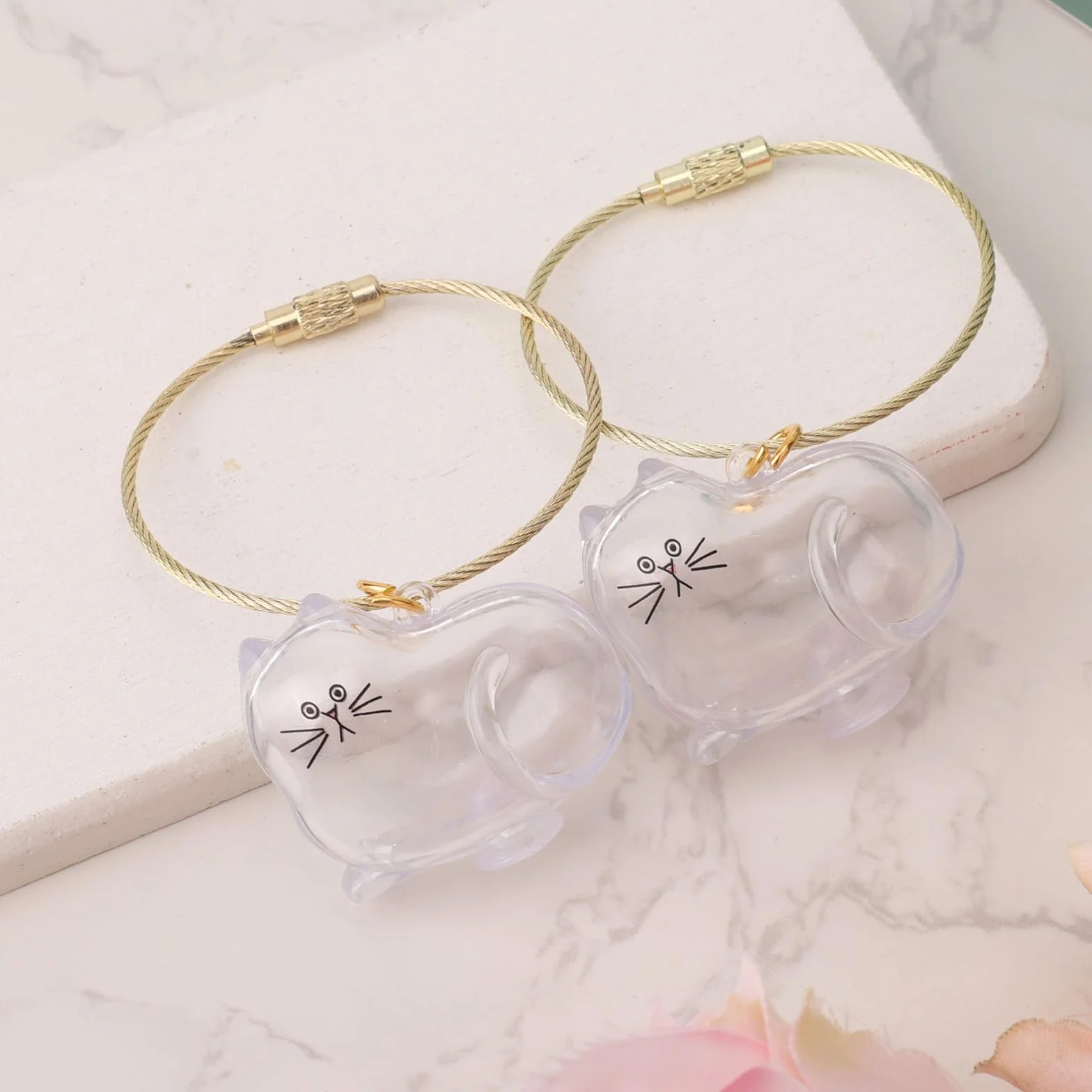 BOXOB Porte-Clés Collecteur de Poils de Chat, Bouteille Rangement Transparente avec Pendentif Doré