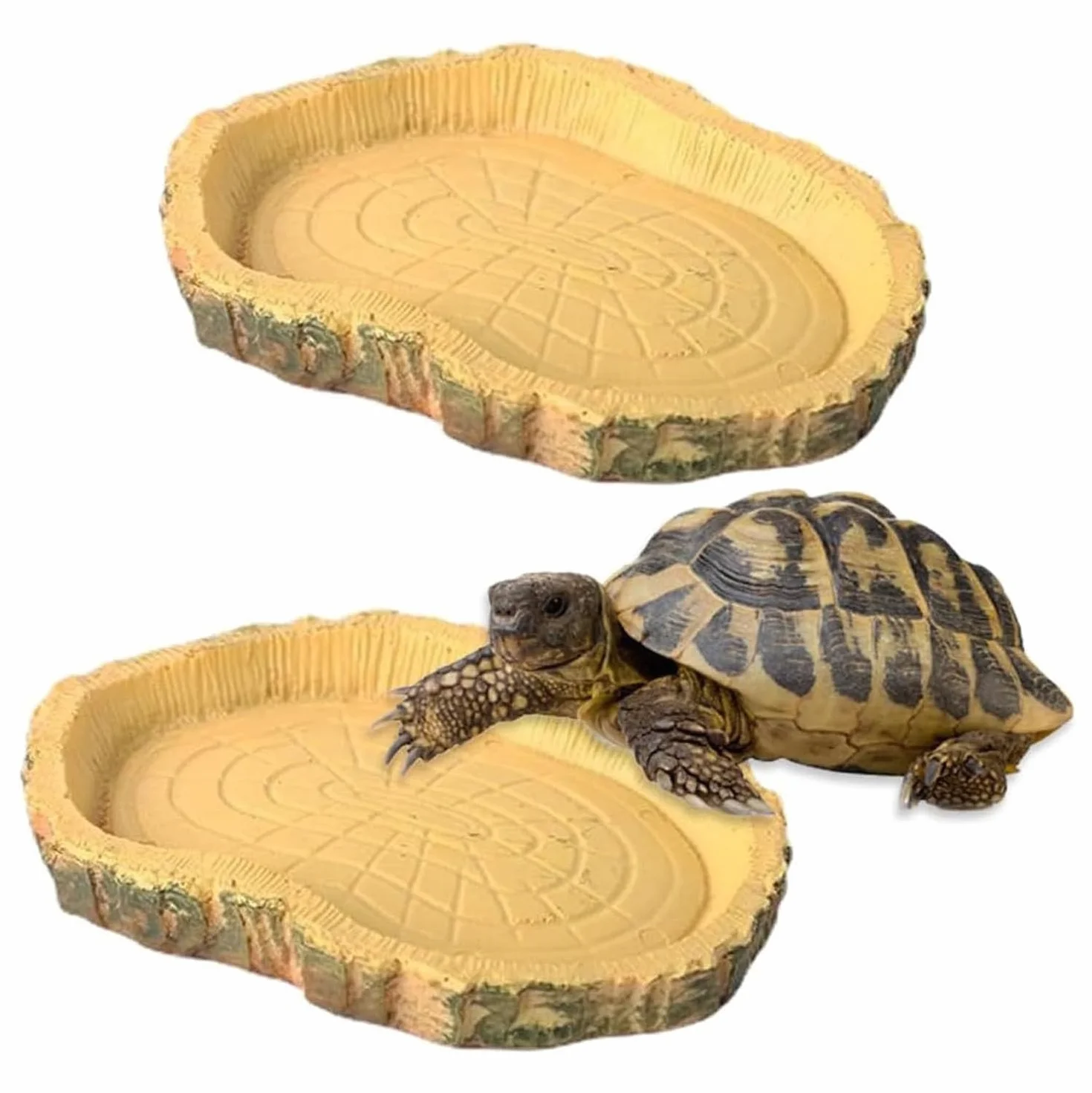 Gamelle Tortue Terrestre Bols à Eau pour Reptiles Abreuvoir 2 Pièces