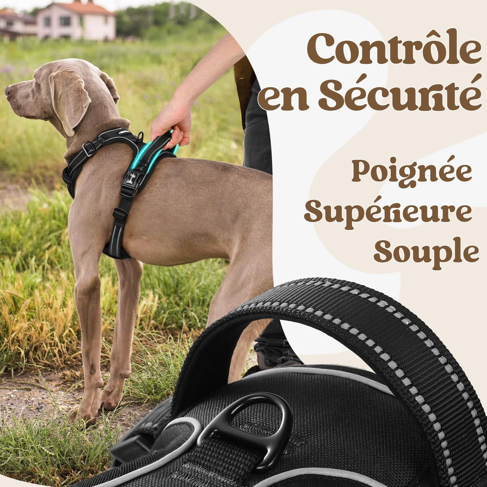 Rabbitgoo Harnais Chien Anti Traction 3 Boucles Réglable Réfléchissant Noir L