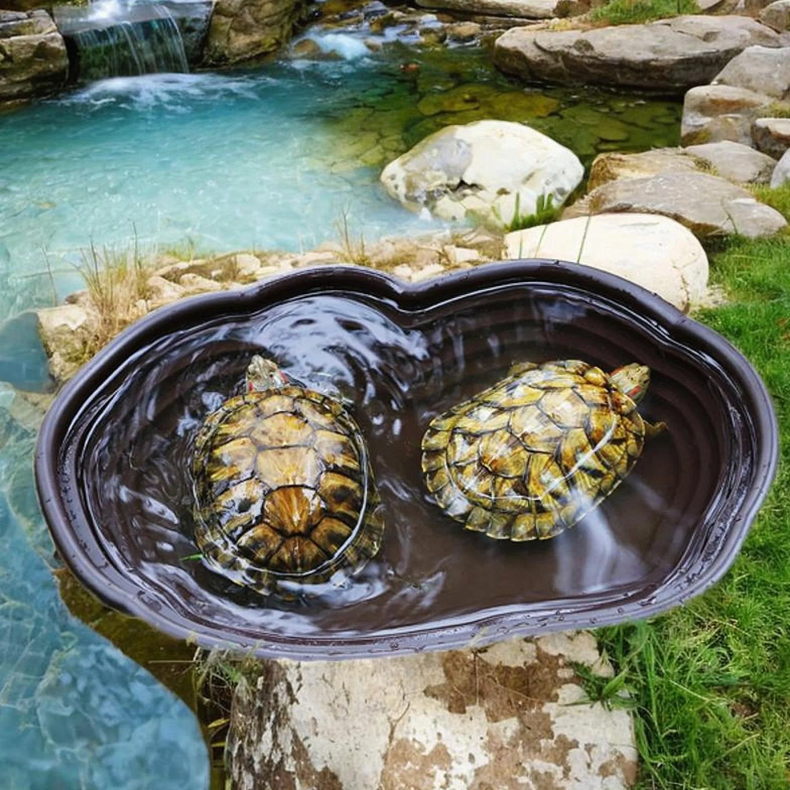 Bassin de Bain pour Reptiles avec Rampe et Plate-Forme, Plat d'Eau pour Tortue Grenouille Gecko