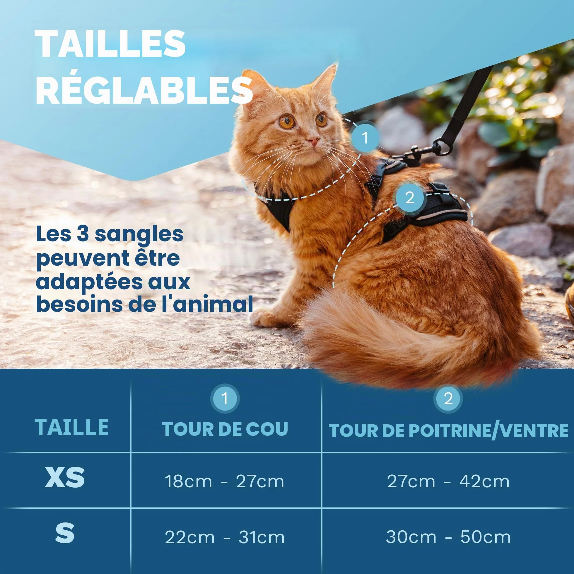 Harnais pour Chat Anti-éclatement avec Laisse Noir Rayure S
