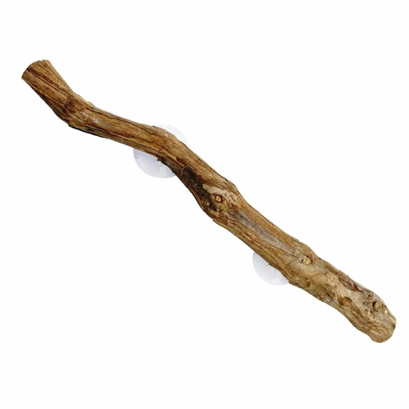 Branches d'escalade pour reptiles 30 cm Tronc d'arbre en bois naturel Décoration terrarium Antidérapant Lézard Serpent Gecko