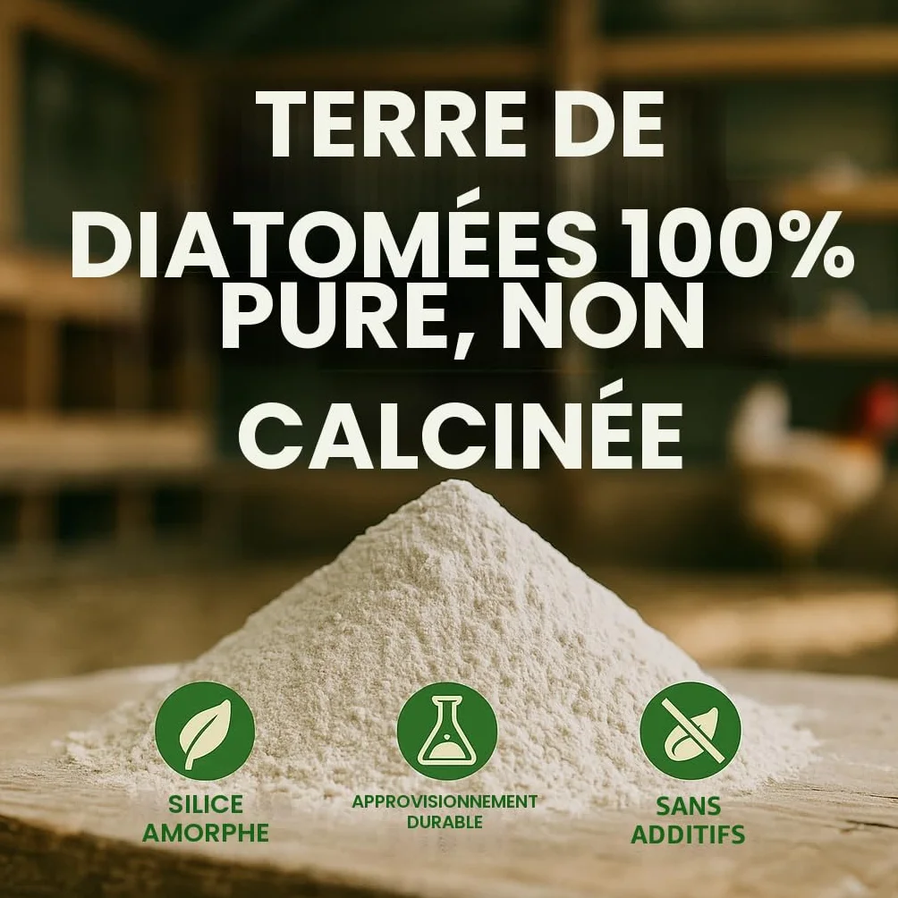 GiDeli Terre de diatomée pour poulets 100% pure non calcinée contre l'acarien rouge 10 kg