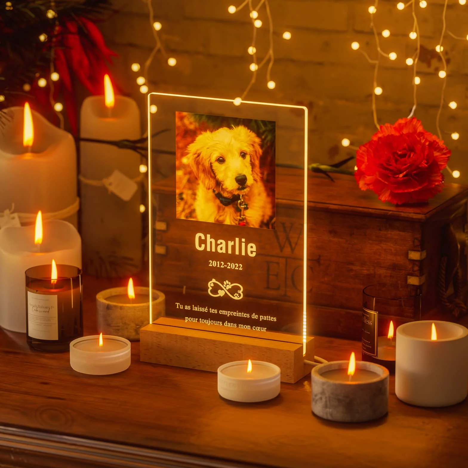 Plaque Commémorative Personnalisée pour Chien Décédé avec Cadre Photo