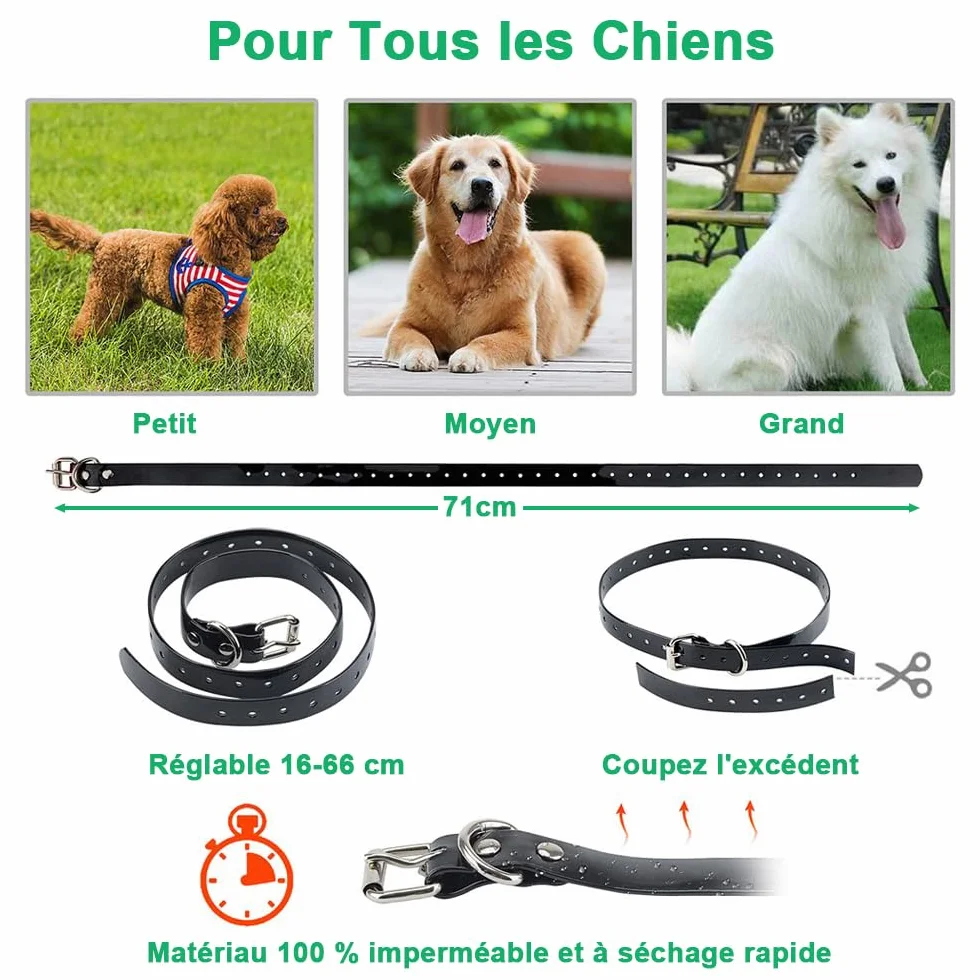 Collier de Dressage pour Chien Étanche Rechargeable 1000m, 2 Colliers