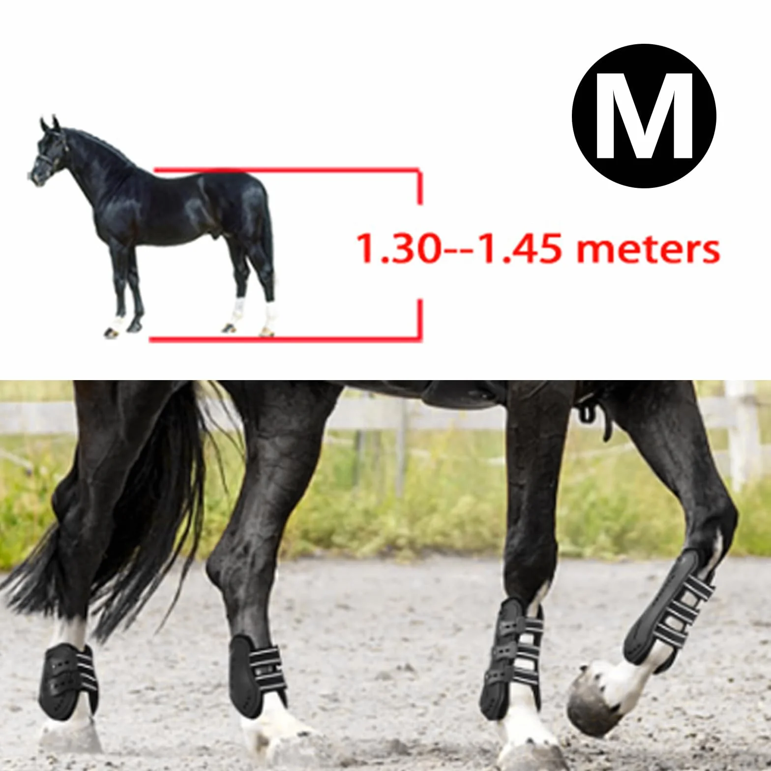 Guêtres de Tendon de Cheval Lot de 4, Néoprène PU, Sport Équestre, Bottes de Saut Avant