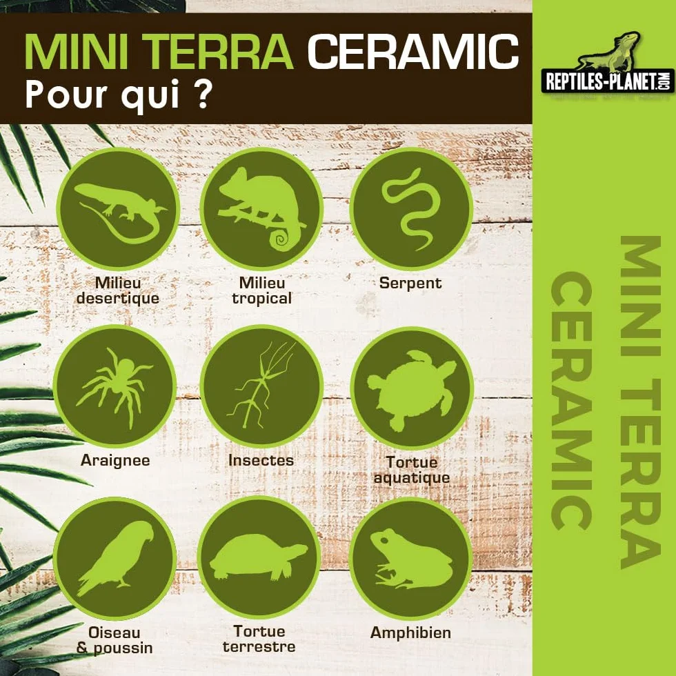 Ampoule Chauffante pour Reptiles Reptiles Planet Mini Terra Ceramic 20 W
