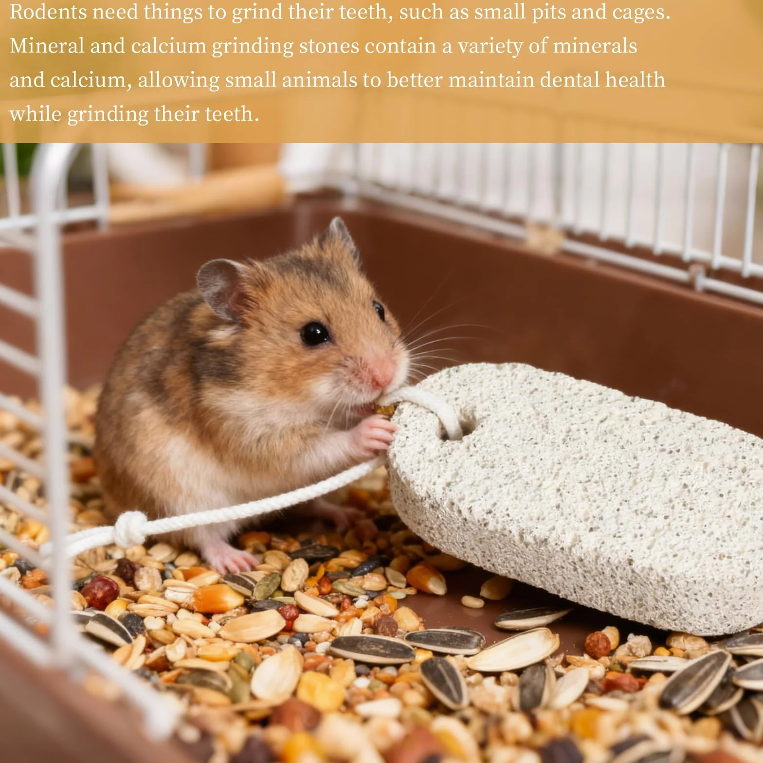 Lot de 6 Pièces Pierre à Ronger Hamster Jouets à Mâcher Minérale pour Rongeurs Hamsters Cochons d'Inde Lapins Chinchillas Perroquets