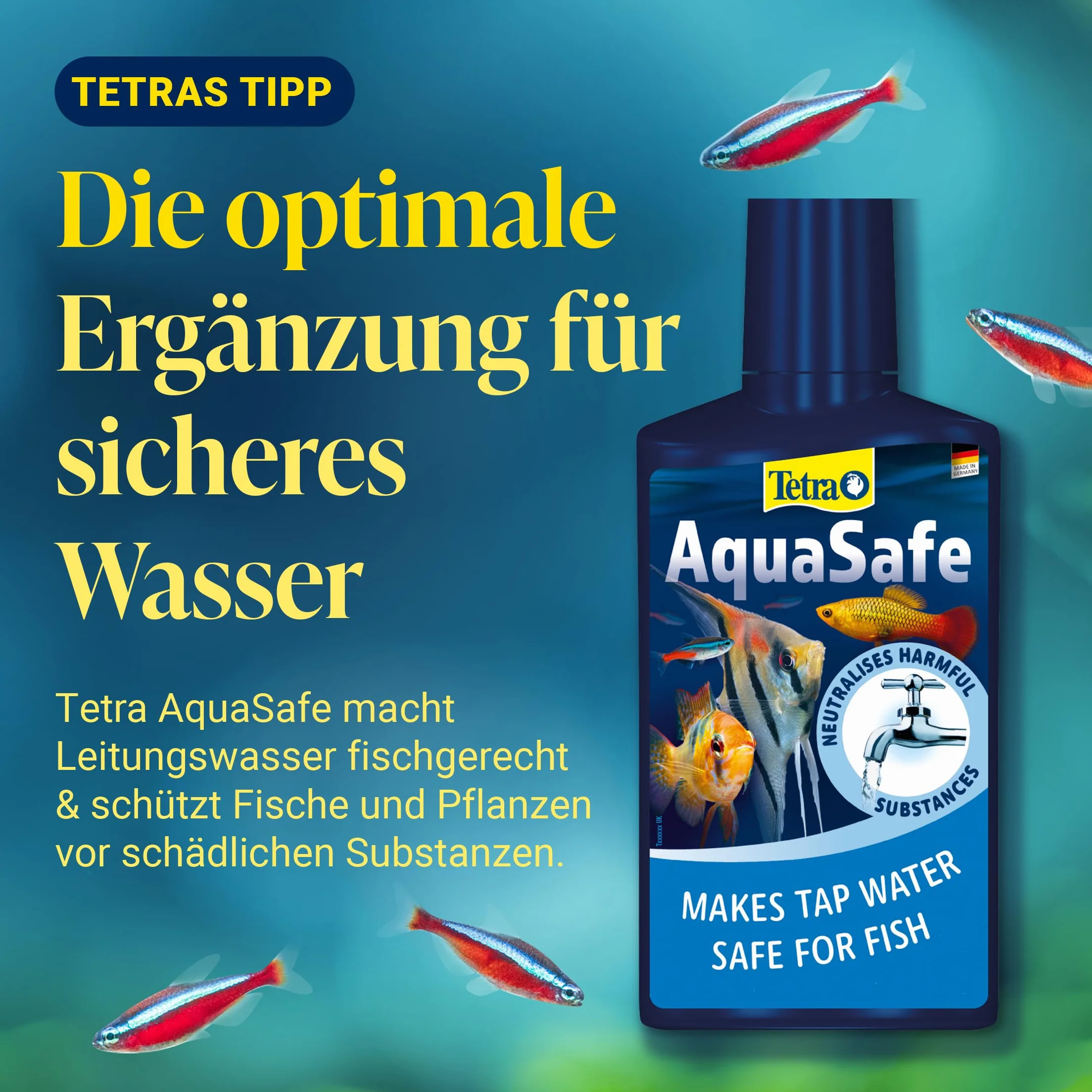 TETRA CrystalWater 250 ml - Élimine les Impuretés Dans l'Eau