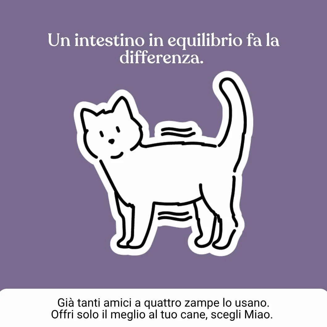 Miào Stop Diarrhée Chat Pâte – Soutien Intestinal Diarrhée Aiguë, Selles Fermes, Réhydratation Électrolytes