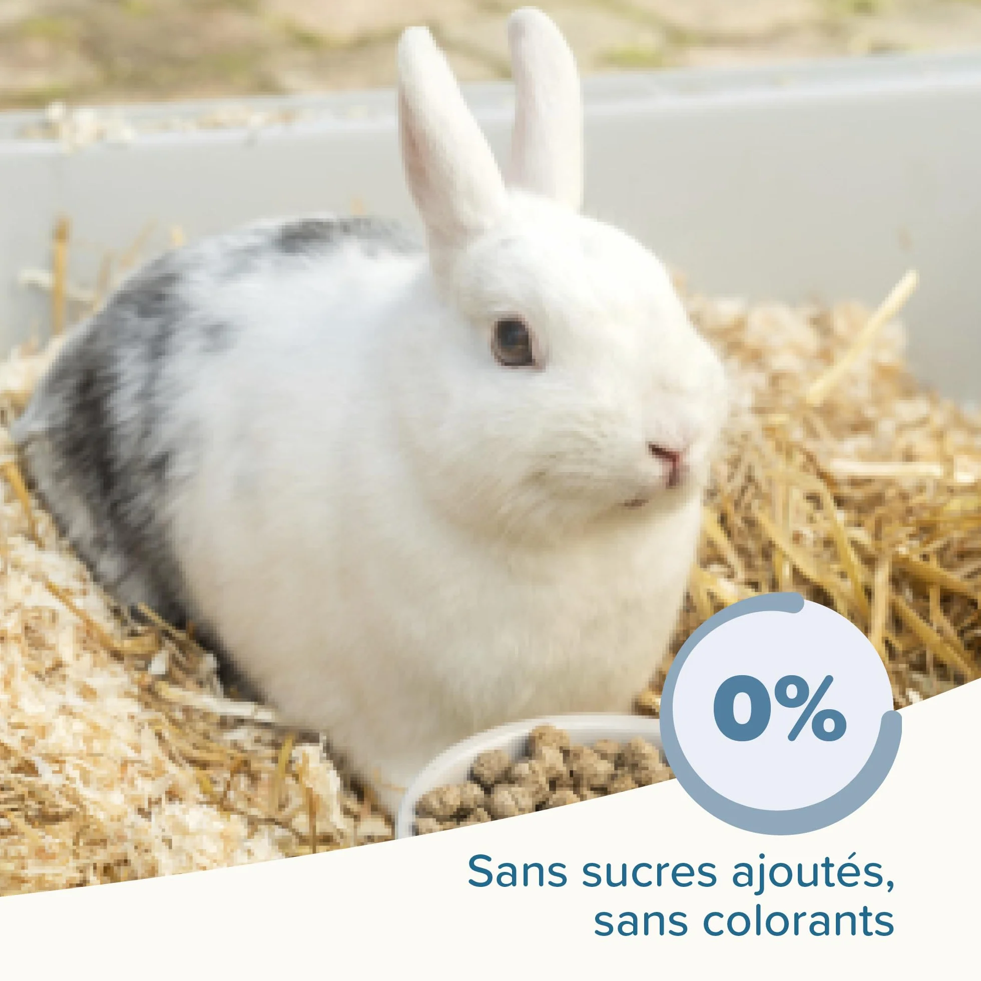 BEAPHAR Care+ Alimentation Super Premium extrudée pour Lapin 25% Fibres 1,5 kg