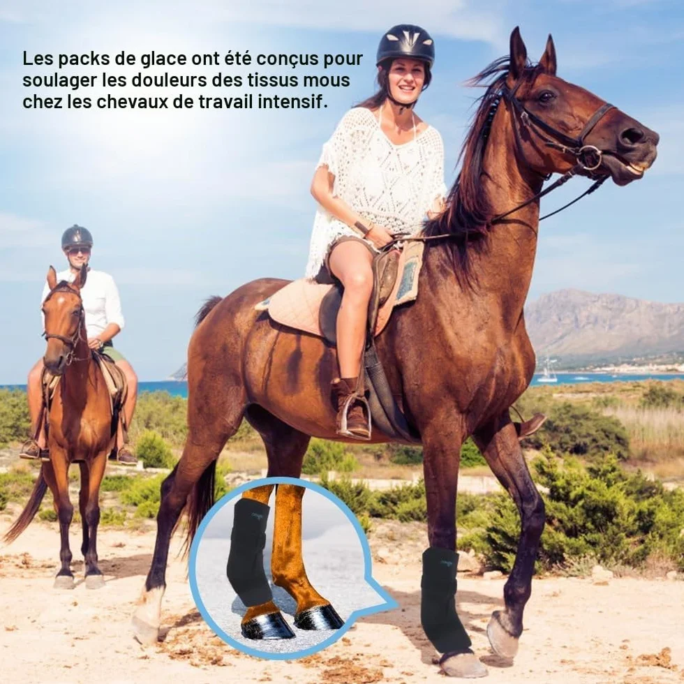 NEWGO Guêtres froides cheval maintien ferme - 2 blocs de refroidissement amovibles bandage lavables