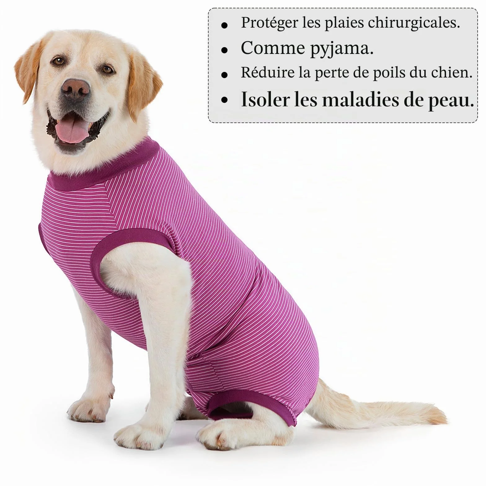 Combinaison Chien Post Operatoire Femelle Male Body Stérilisation Fuchsia