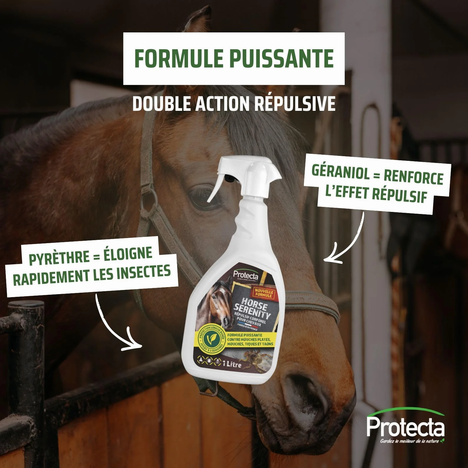 Protecta Répulsif Anti-Mouches Cheval 500mL Protection Longue Durée