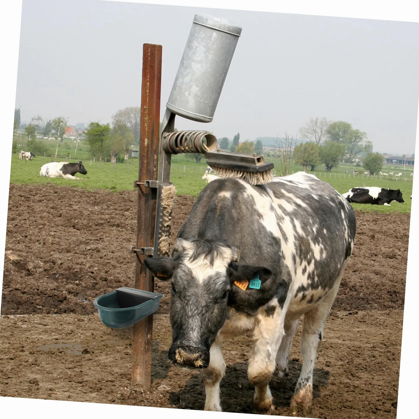 Abreuvoir Automatique Bovin en Plastique pour Vaches et Chèvres | Propre et Hygiénique, Résistance à Corrosion, Entretien Simple, Usage en Exploitation au Quotidien