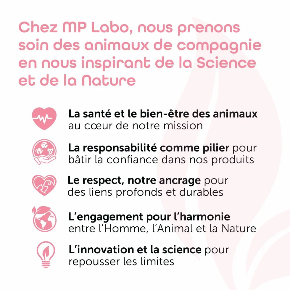 MP Labo Lysine MP 100 Gélules pour Chats et Chatons - Riche en L-Lysine
