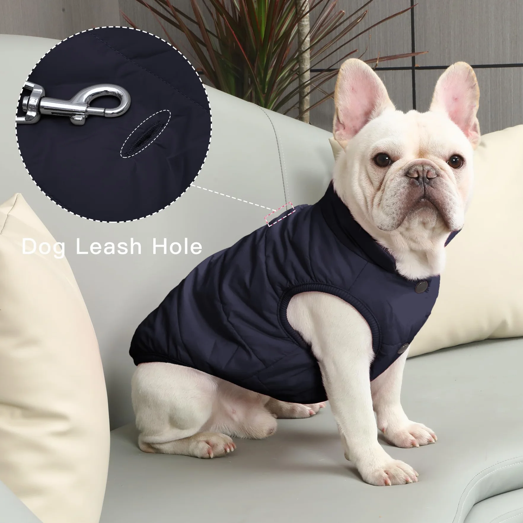 Joydaog Manteau coupe-vent chien 2 couches doublure polaire extra-chaude