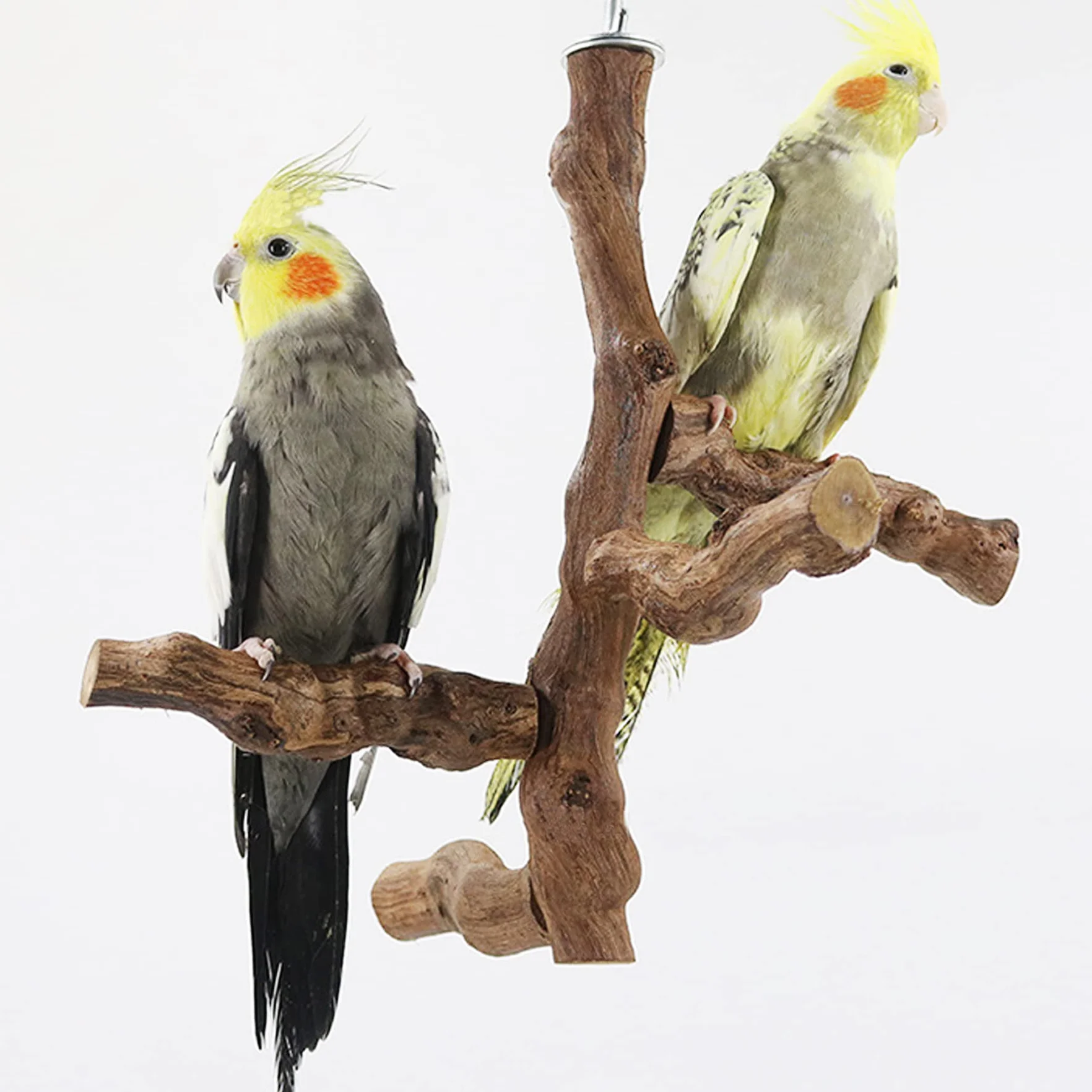 Perchoirs à Oiseaux Naturels avec Jouets à Mâcher en Vigne Naturelle pour Perroquets Lot de 6