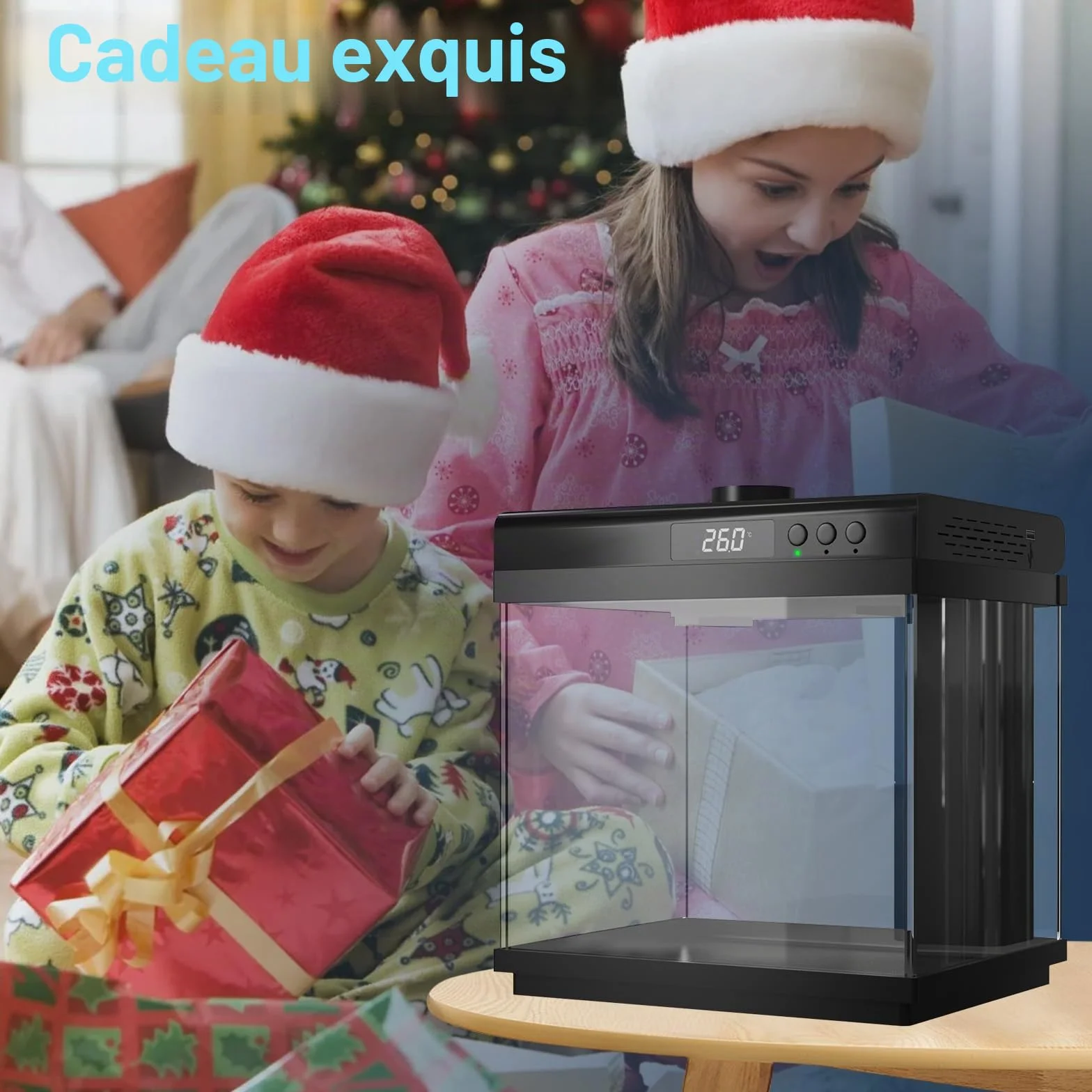 AQQA Kit de Démarrage Aquarium 14 L en Verre avec Filtre LED, 10 Couleurs Réglables, Nano Betta