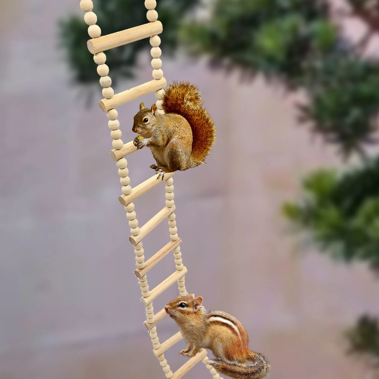 Échelle en Bois pour Oiseaux, Pont Balançoire pour Perruches et Perroquets, Jouet d'escalade pour Petits Animaux
