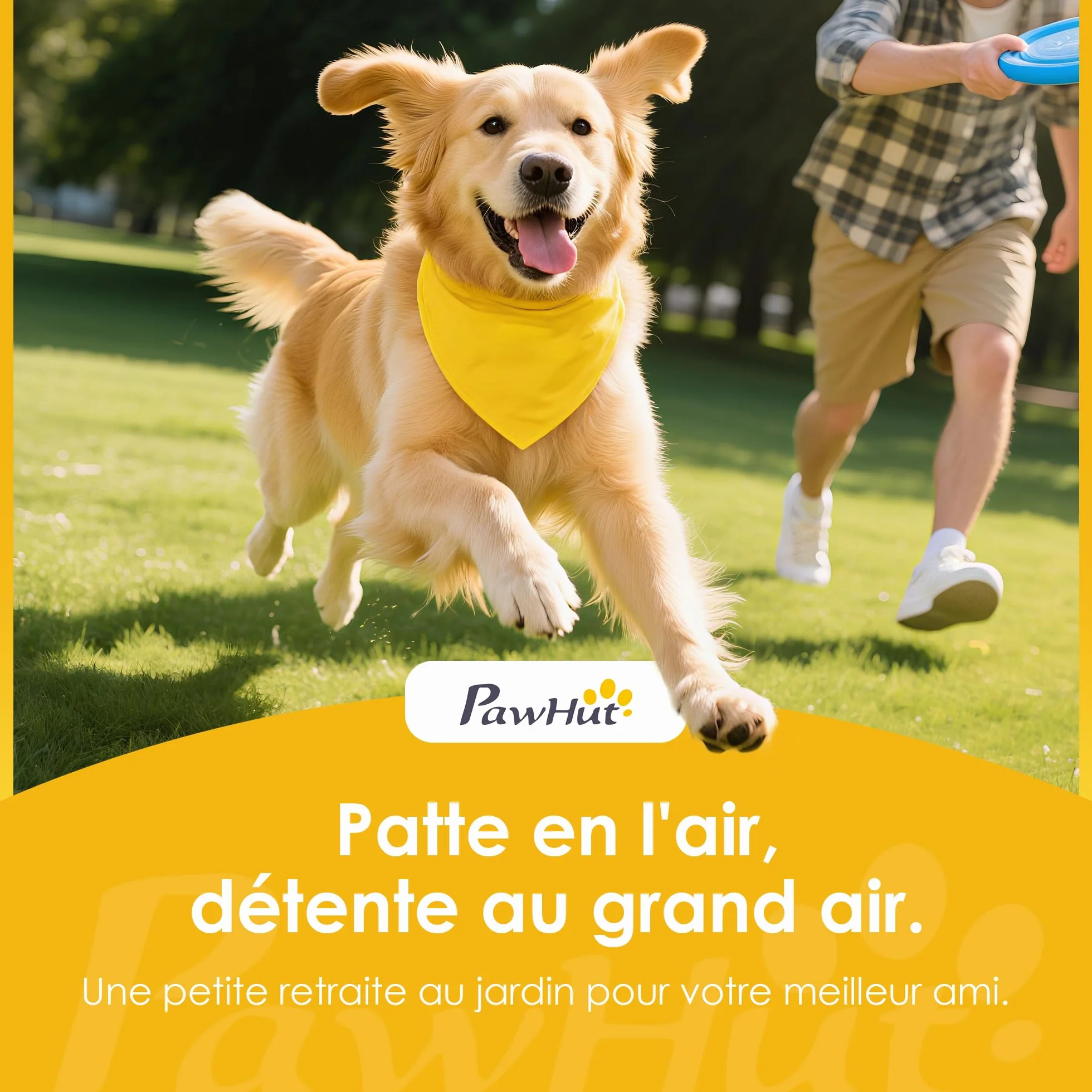 PawHut Kit d'agilité pour Chien 3 Pièces Pont Souple Plateforme de Pause Escalier Bois Massif Gris