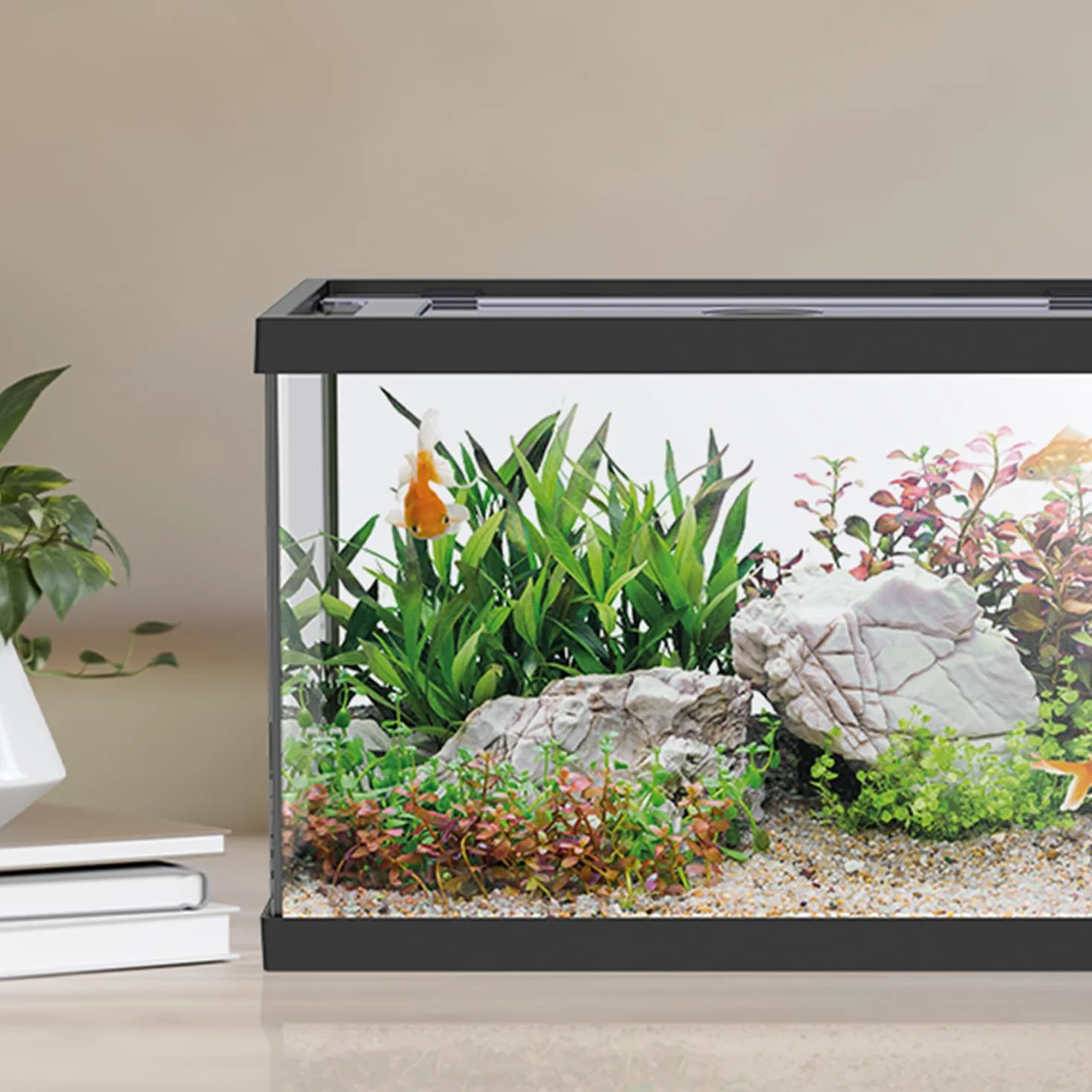 AQPET One Mini Aquarium en Verre Noir 20 litres - Aquarium Complet avec Filtre intérieur, Sable, Plante décorative et Fond - 36 x 22 x 26 cm