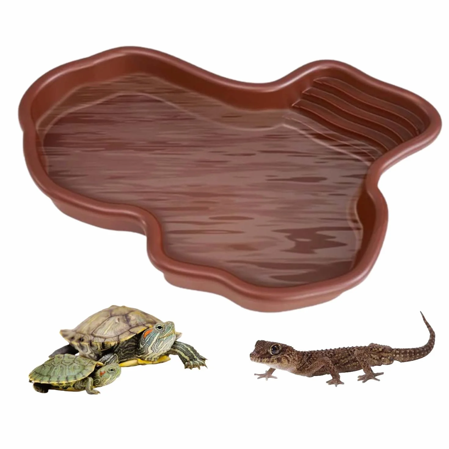 Grand Bol d'Eau pour Reptiles, Bol de Nourriture pour Reptiles, Piscine pour Tortue