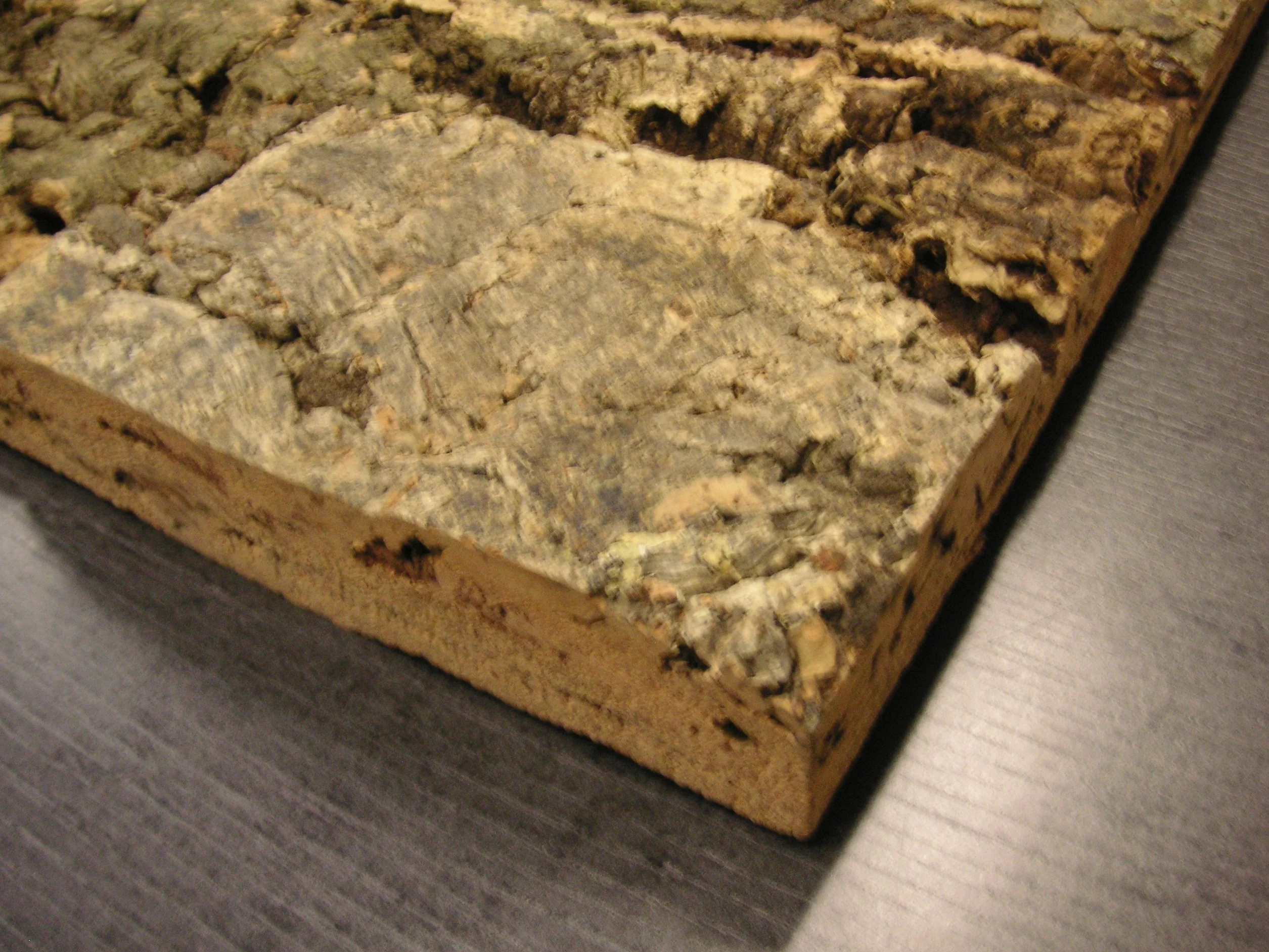 Paroi arrière en liège Naturel 90 x 60 cm Terrarium Fond en liège