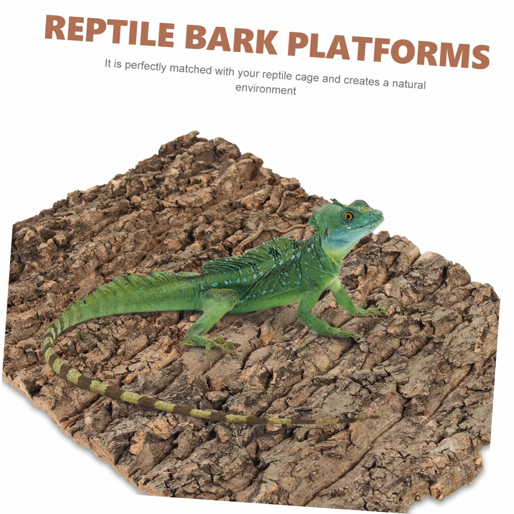 Écorce de Liège Plateforme Reptile Terrarium Décor Escalade
