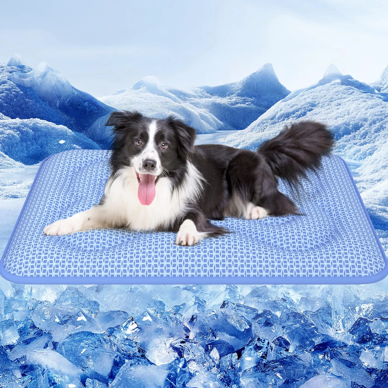 Rywell Tapis Rafraichissant Chat Chien 110x80cm PCM Revêtement Thermochromique Double Face Imperméable Lavable