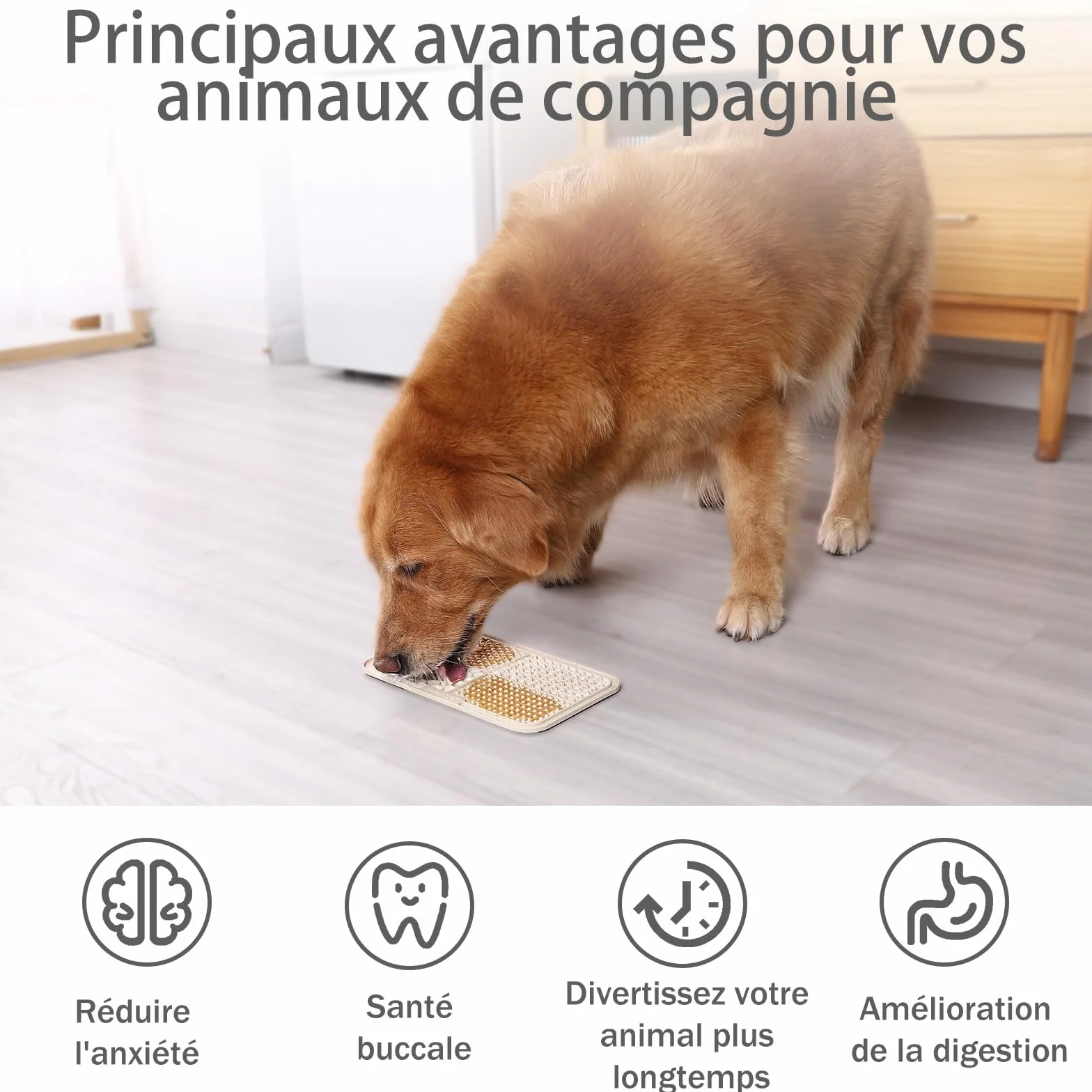 MateeyLife Tapis de léchage Chien avec ventouses Anti-Glisse Alimentation Humide/Sèche Surface Alvéolée Lavable
