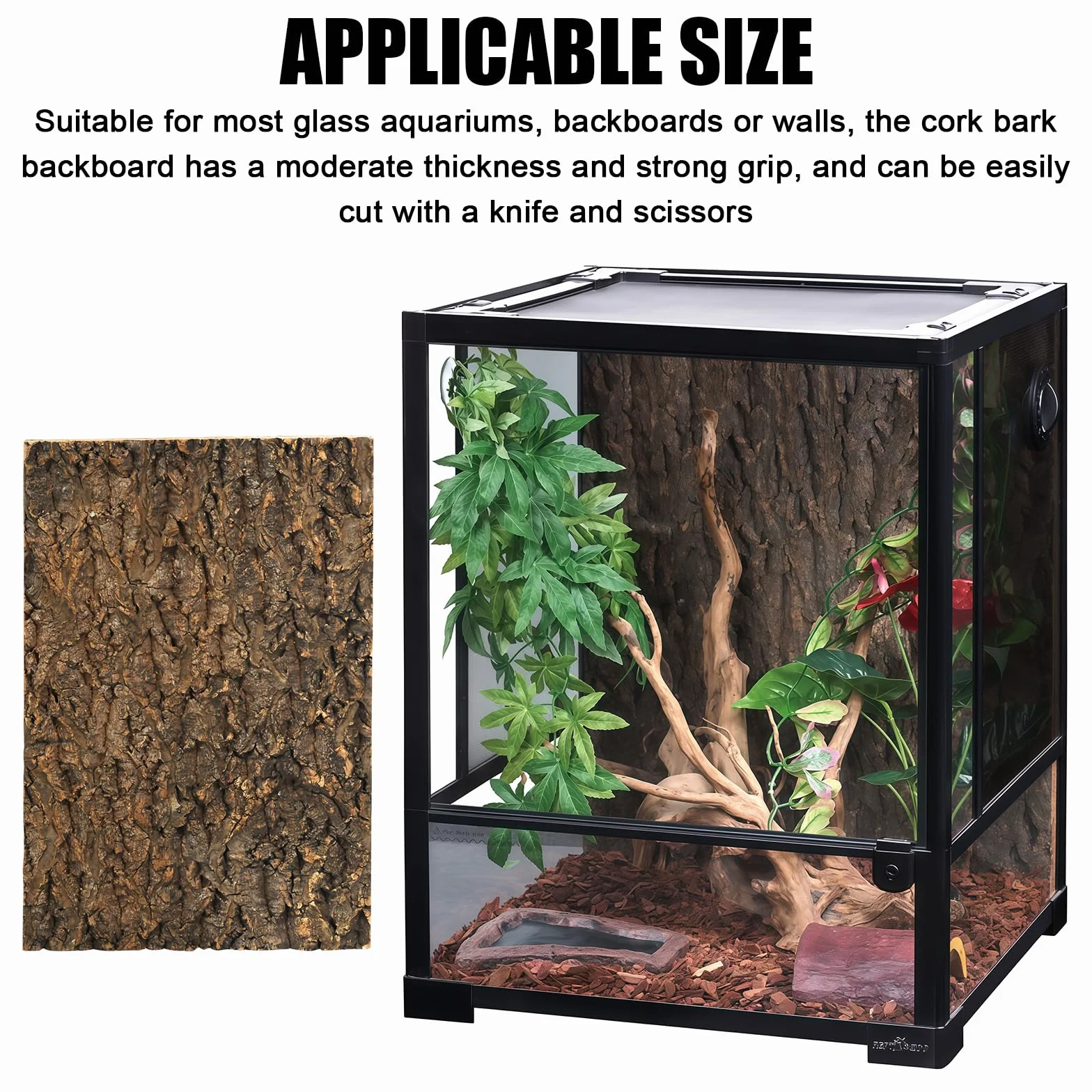 Écorce de liège naturelle 20x30 cm tapis d'escalade pour reptiles terrarium geckos lézards